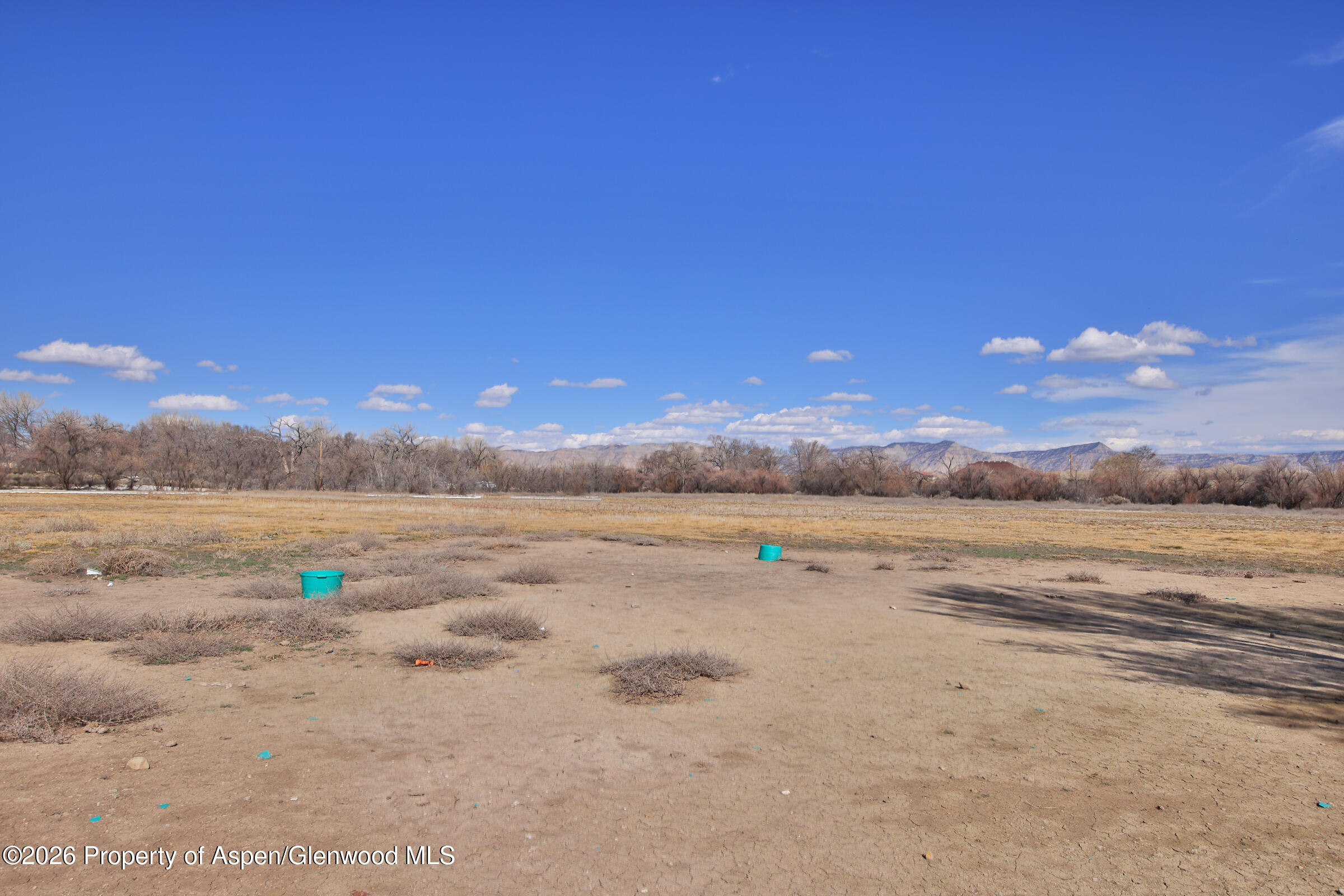 1537 19 Road Fruita CO 81521