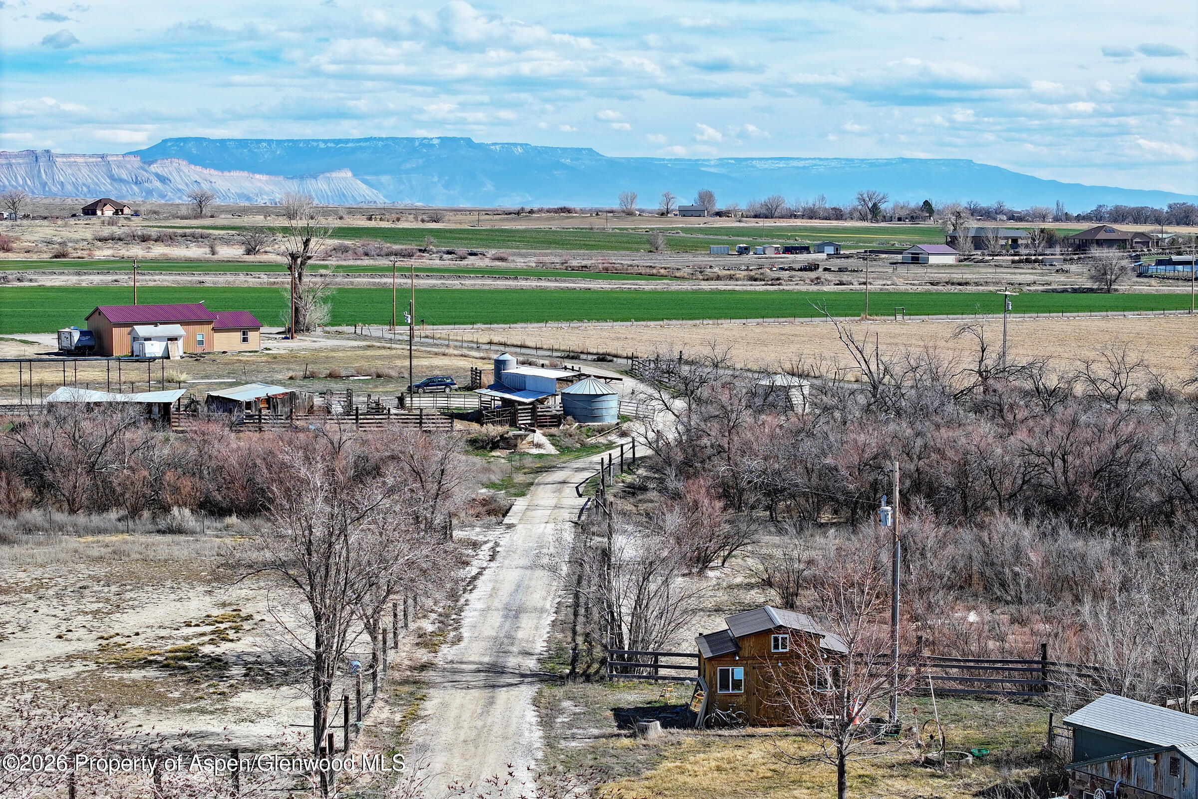 1537 19 Road Fruita CO 81521