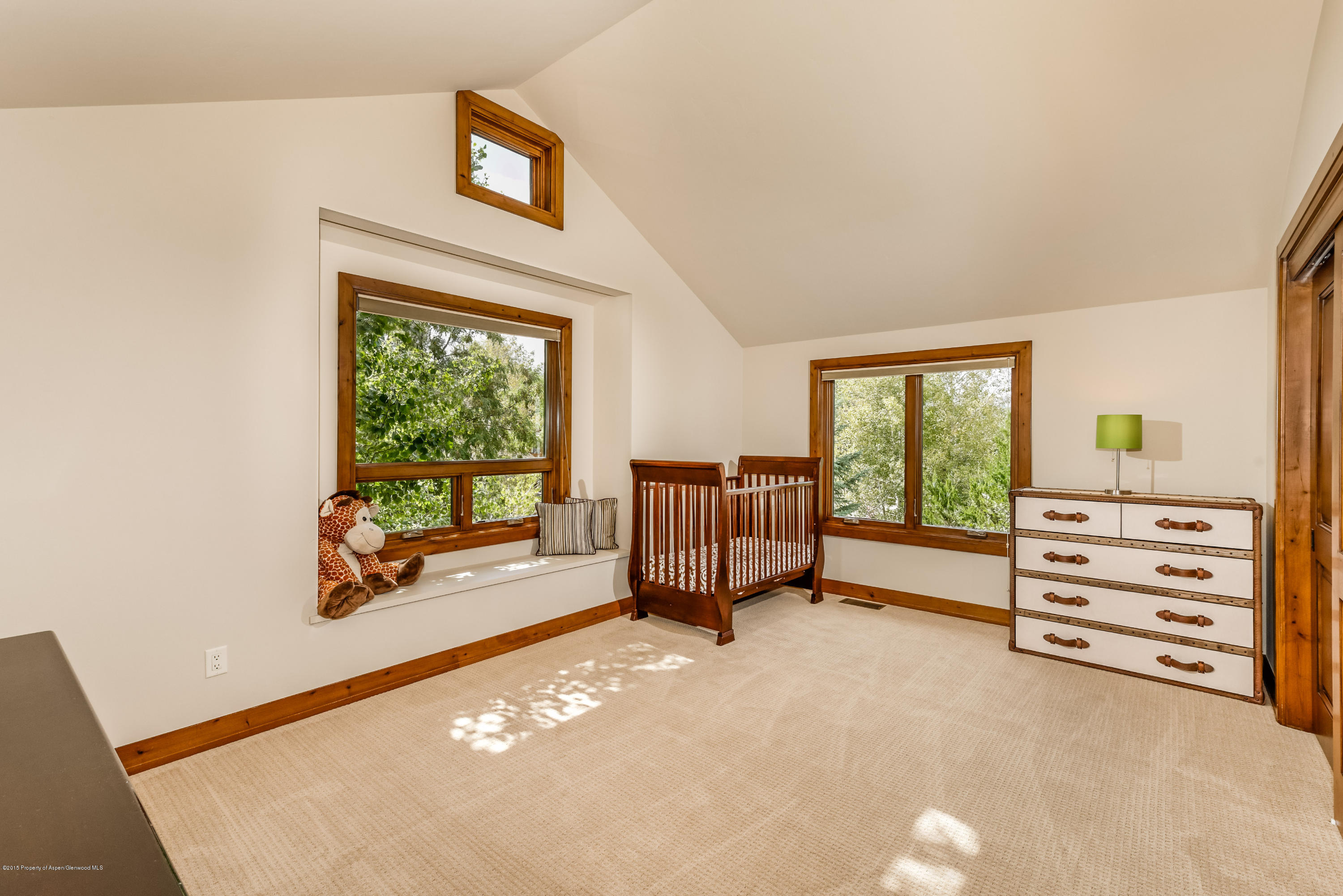 360 Riverside Drive Basalt CO 81621