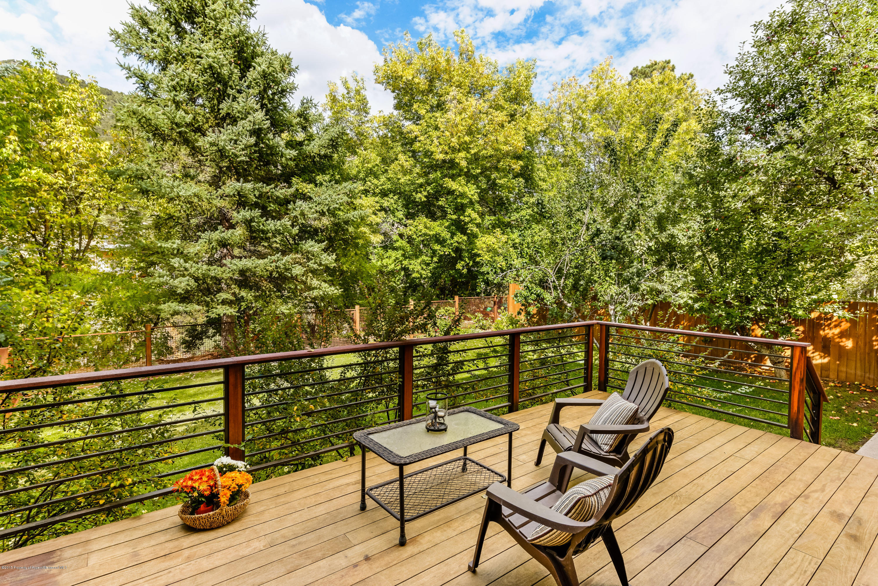360 Riverside Drive Basalt CO 81621