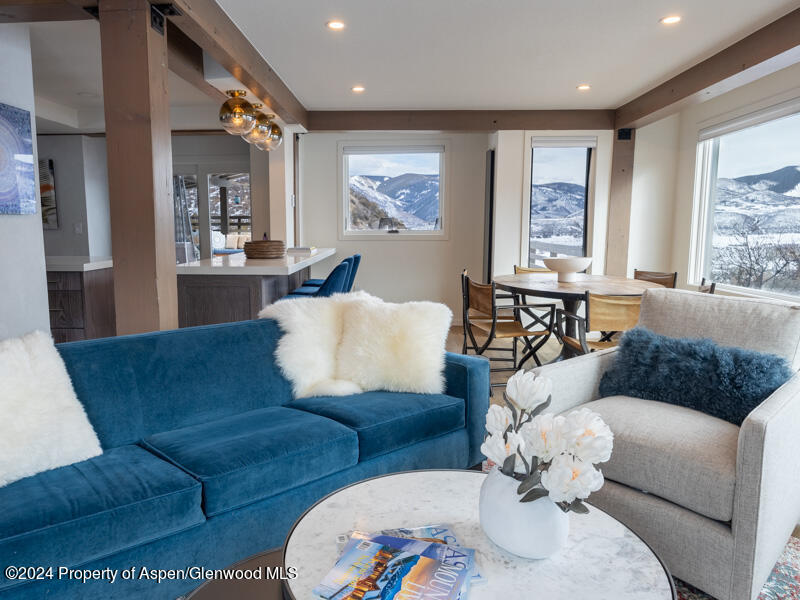 1711 Juniper Hill Drive Aspen CO 81611