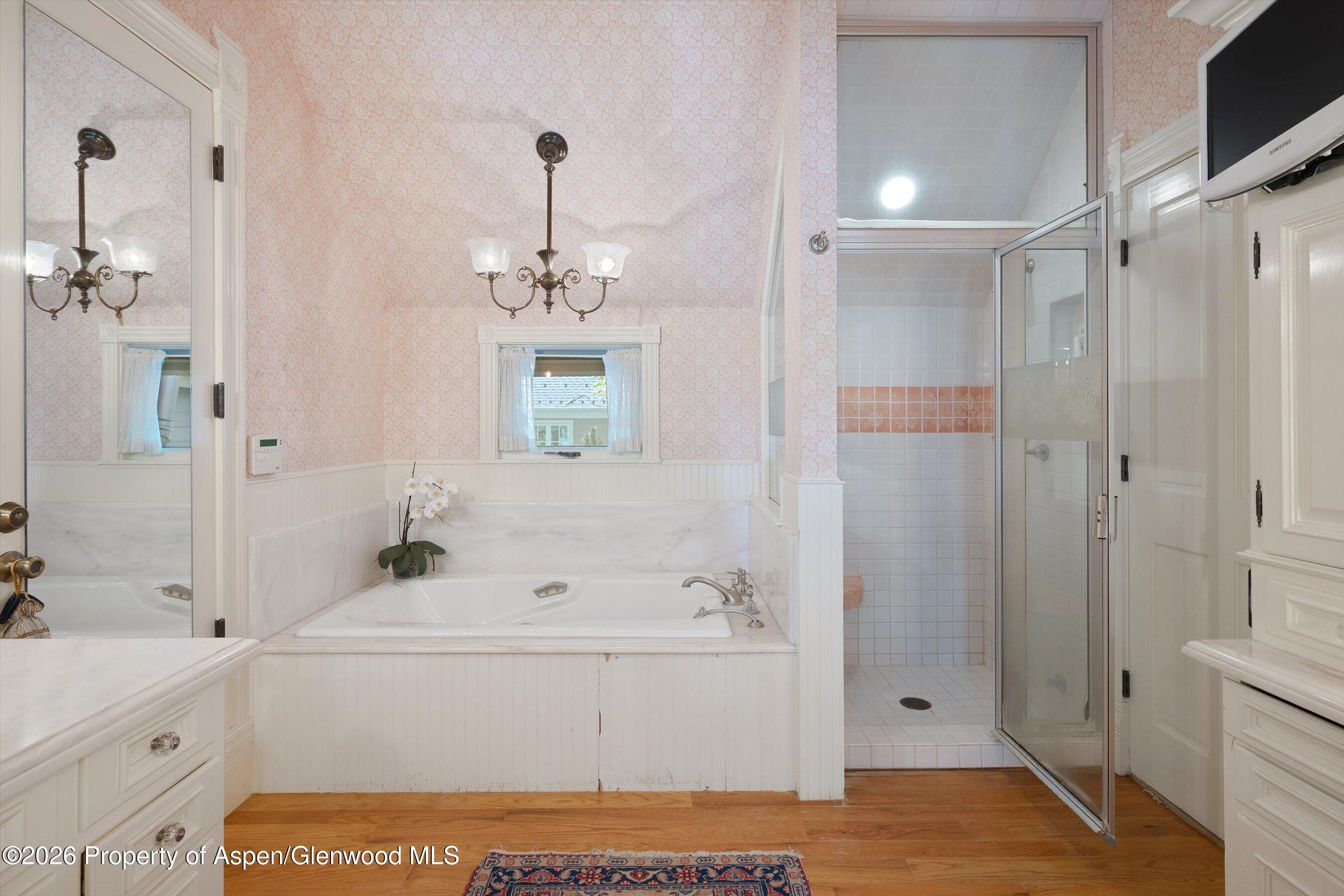 715 W Smuggler Street Aspen CO 81611