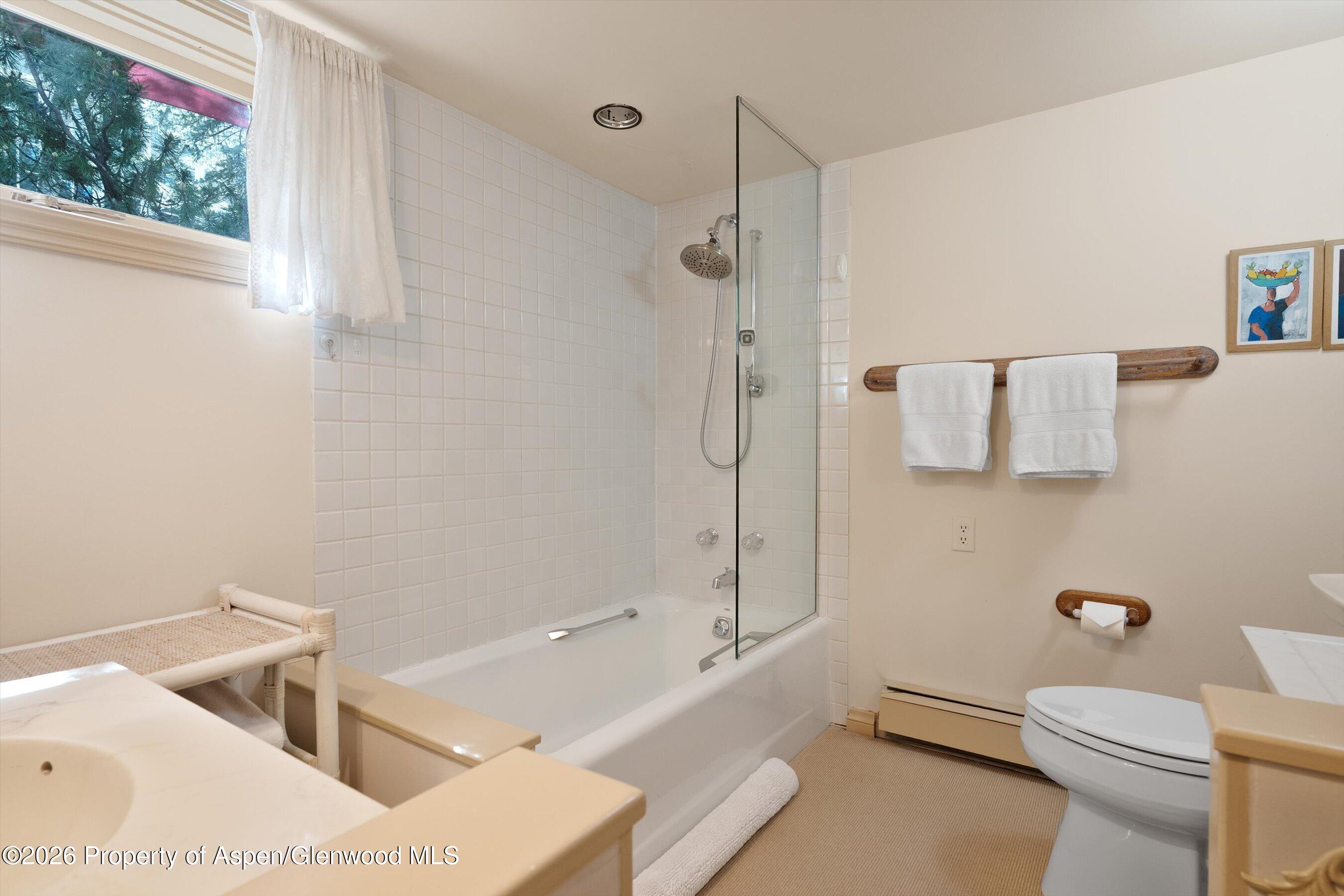 715 W Smuggler Street Aspen CO 81611
