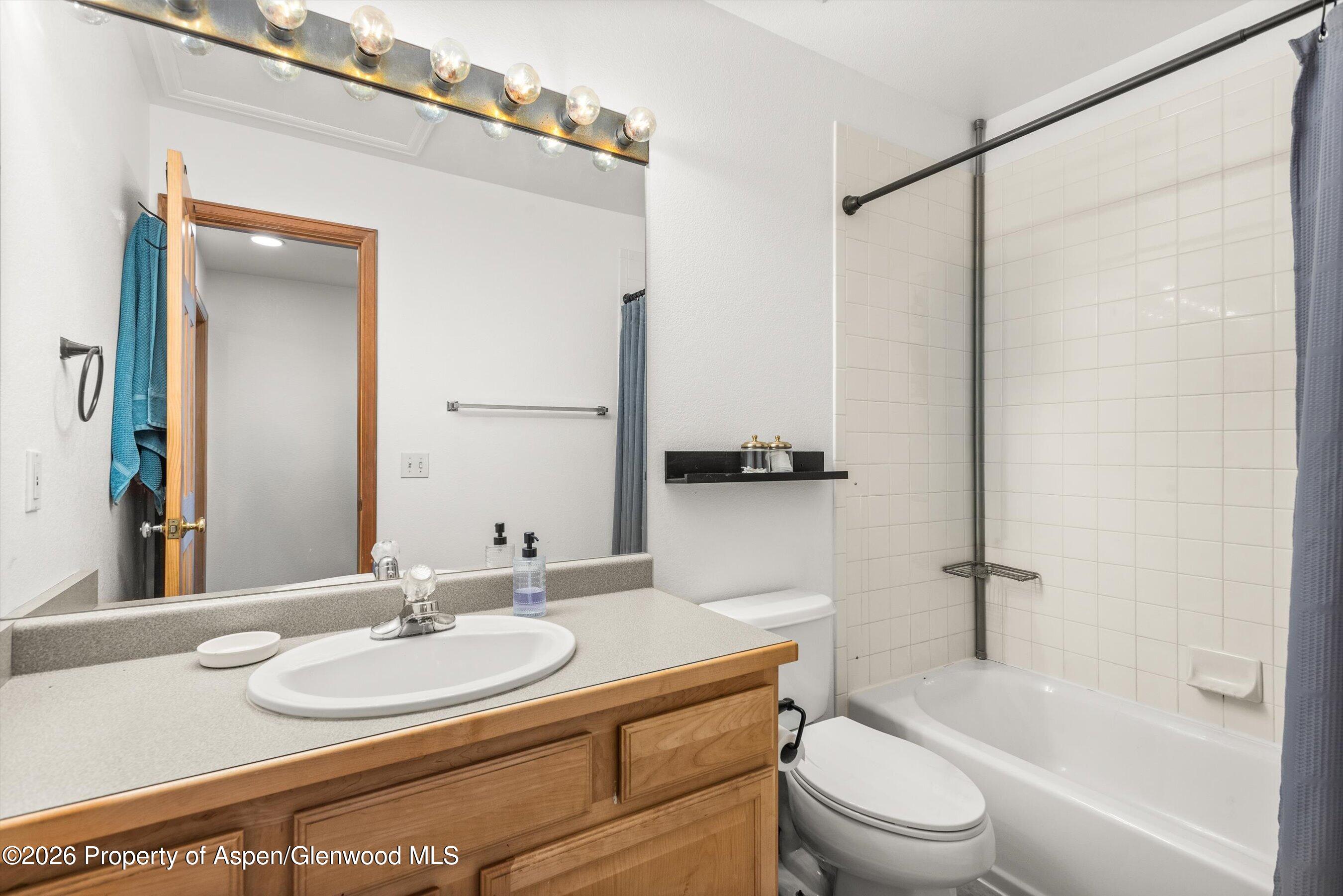 138 Dakota Meadows Drive Carbondale CO 81623