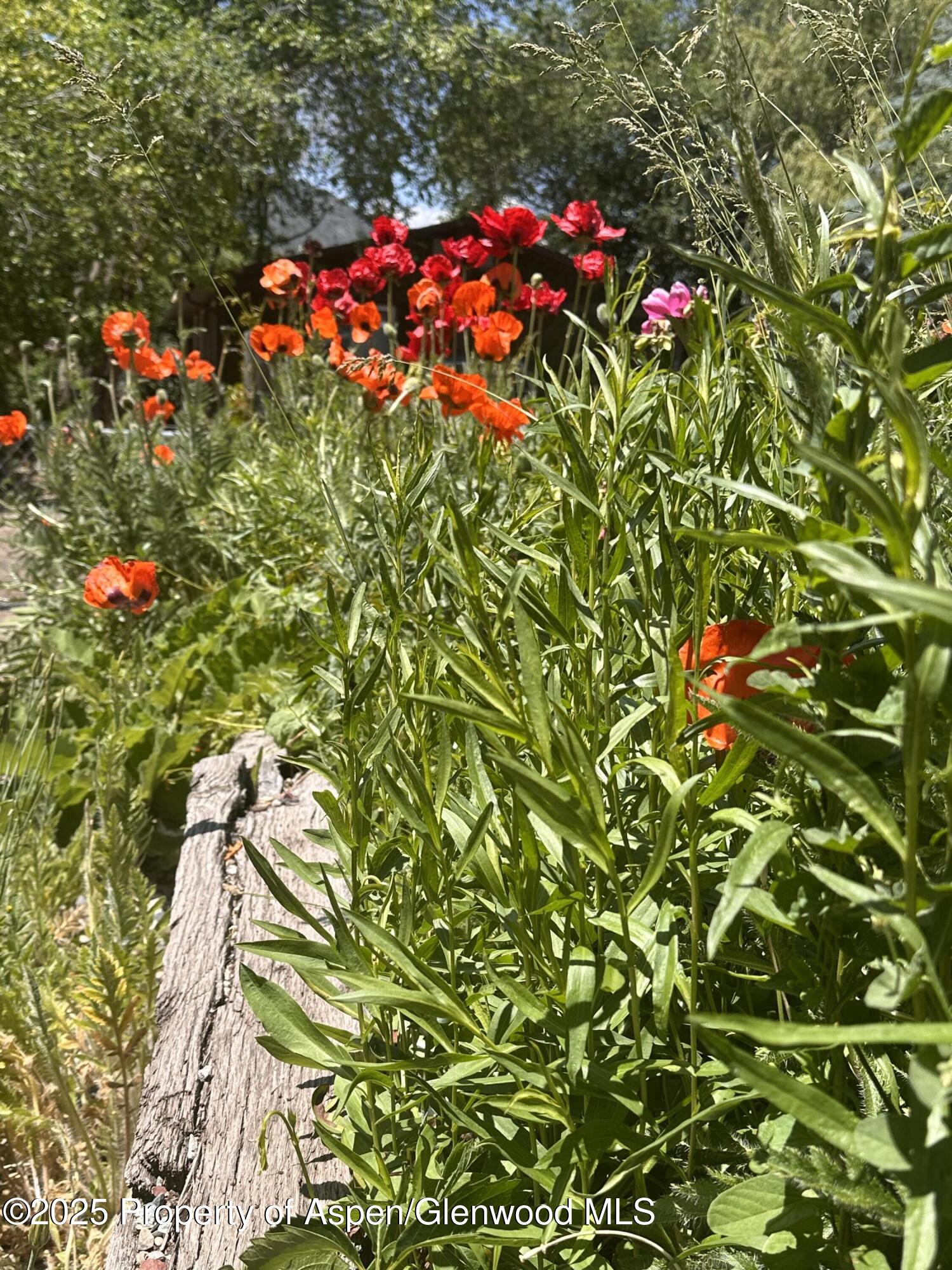 8 Navajo Street New Castle CO 81647