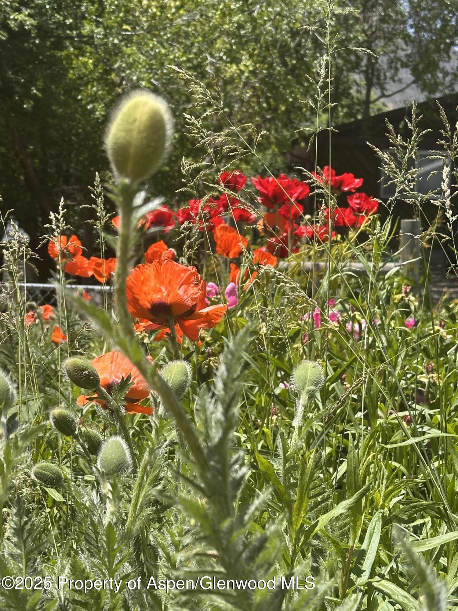 8 Navajo Street New Castle CO 81647