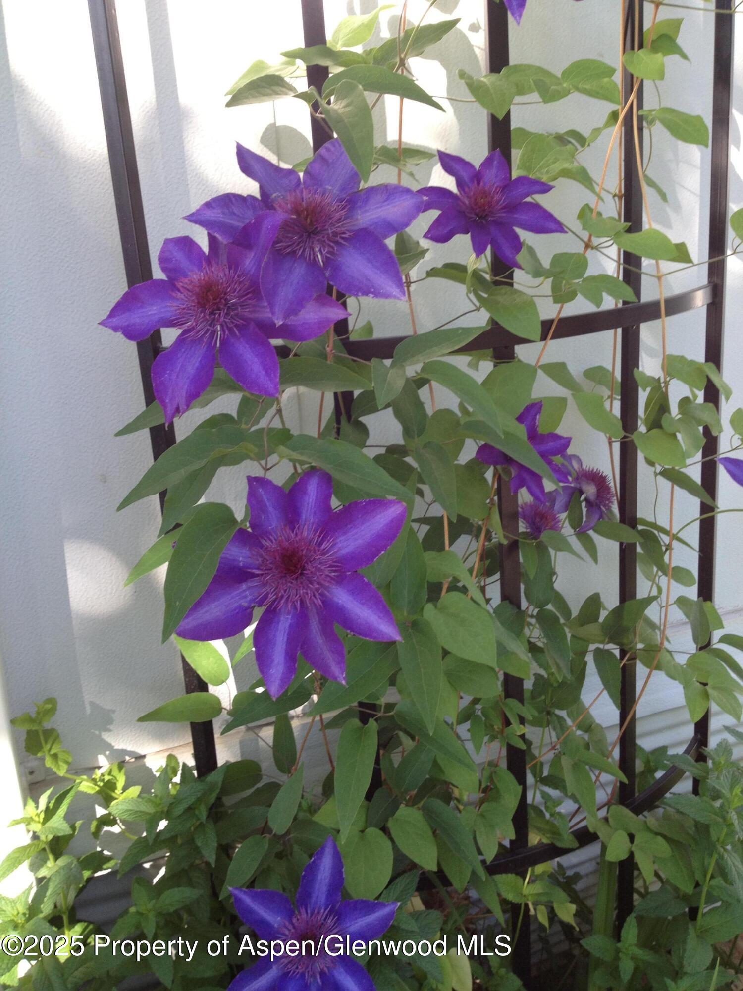 8 Navajo Street New Castle CO 81647