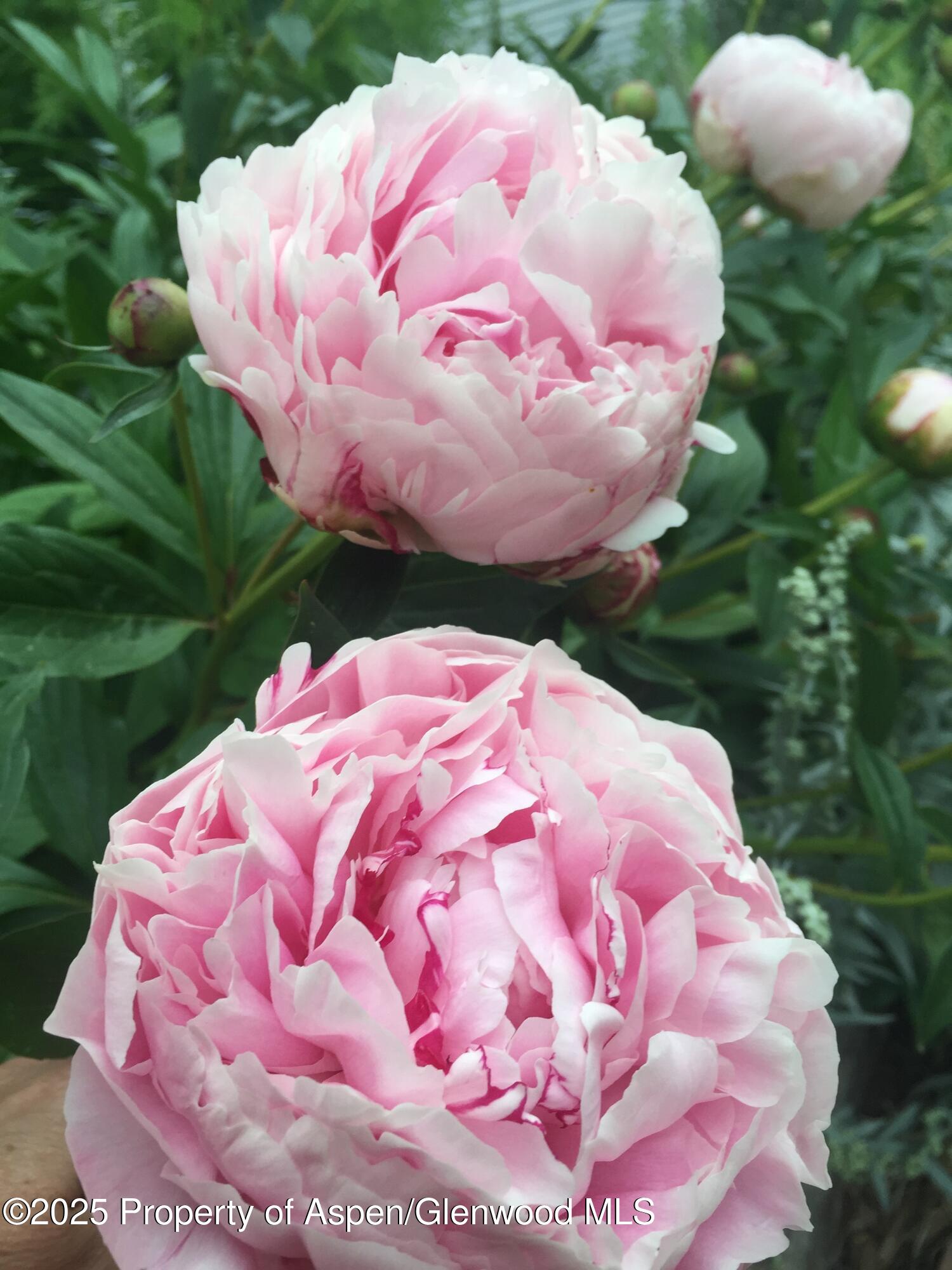 8 Navajo Street New Castle CO 81647