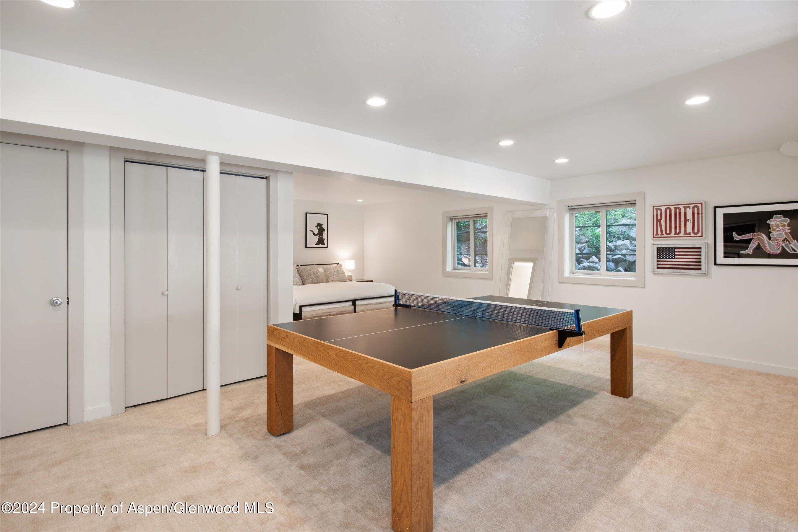 314 Mountain Laurel Drive Aspen CO 81611