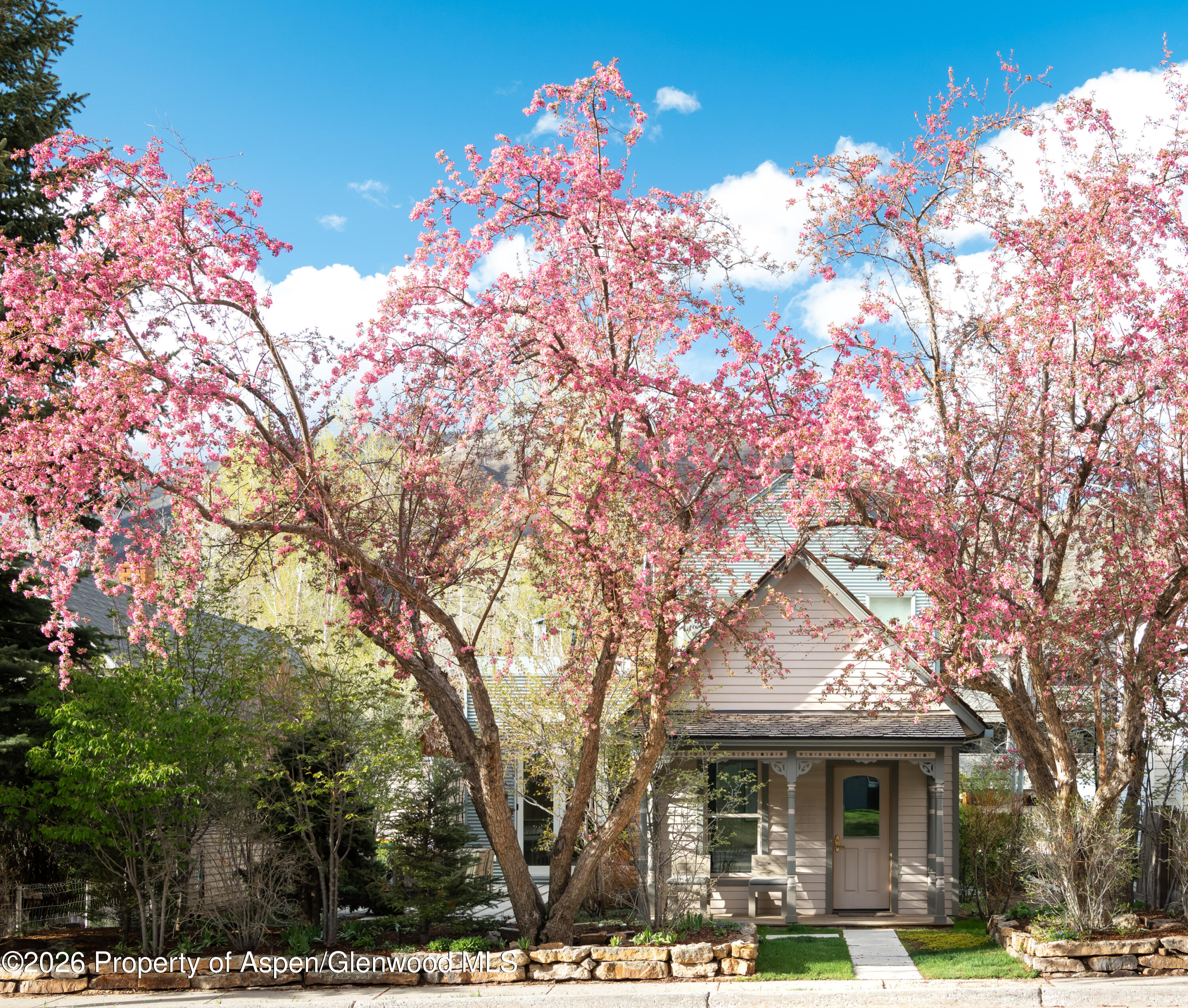 1006 E Cooper Avenue Aspen CO 81611