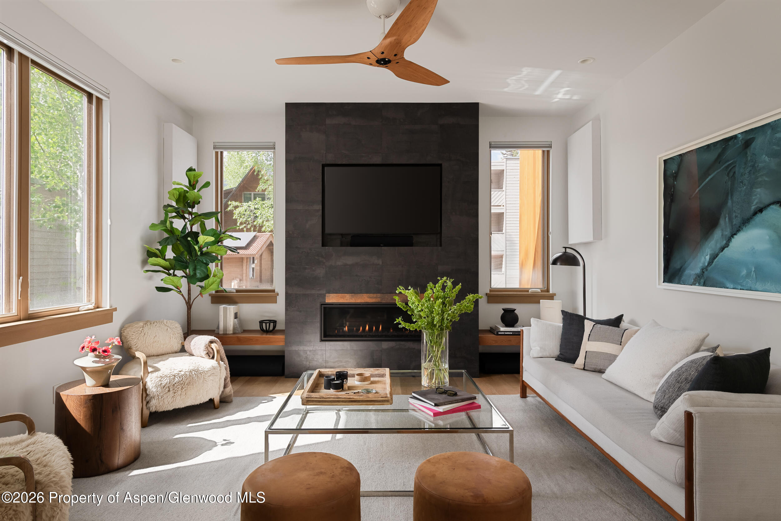1006 E Cooper Avenue Aspen CO 81611