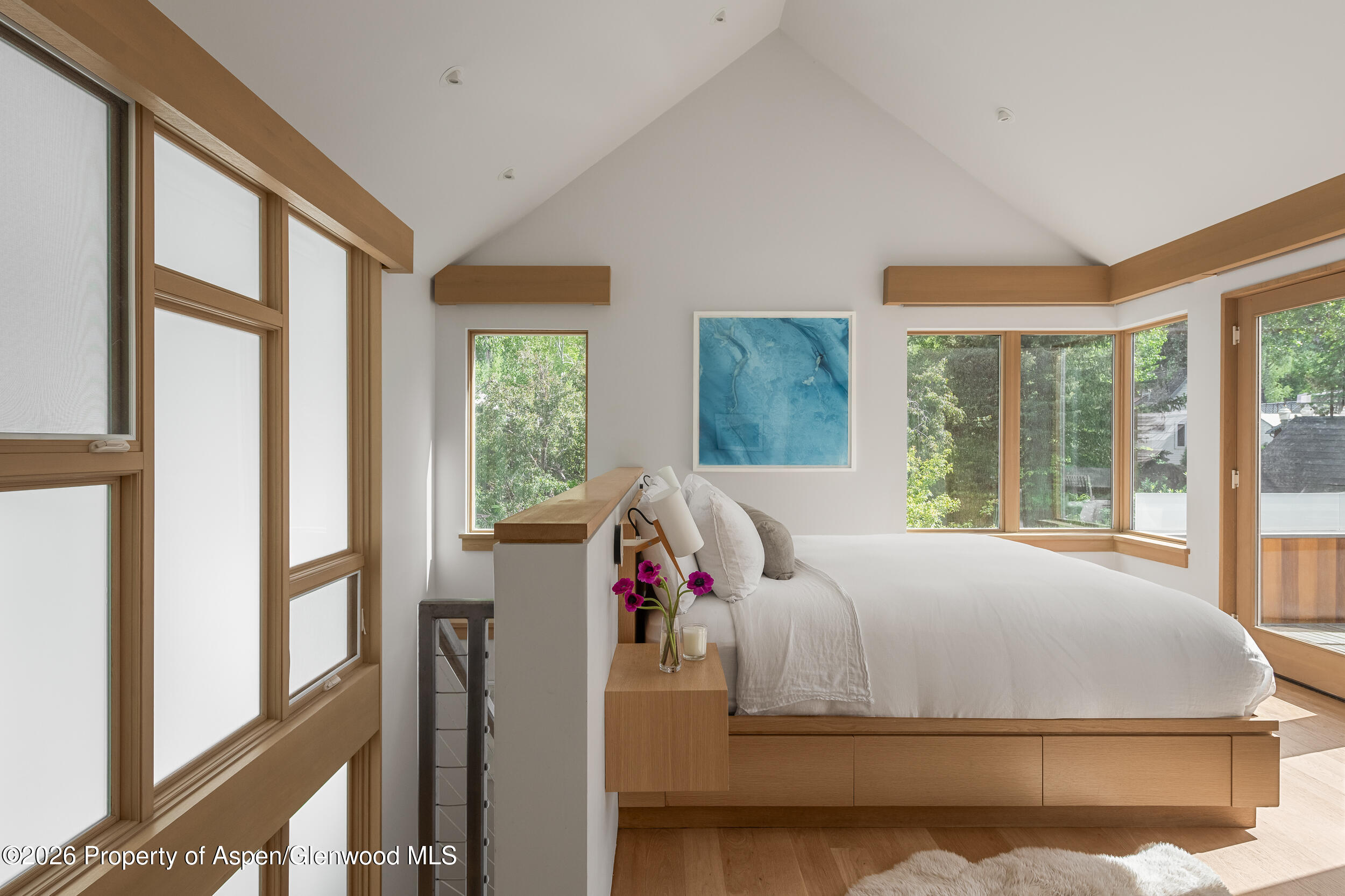 1006 E Cooper Avenue Aspen CO 81611
