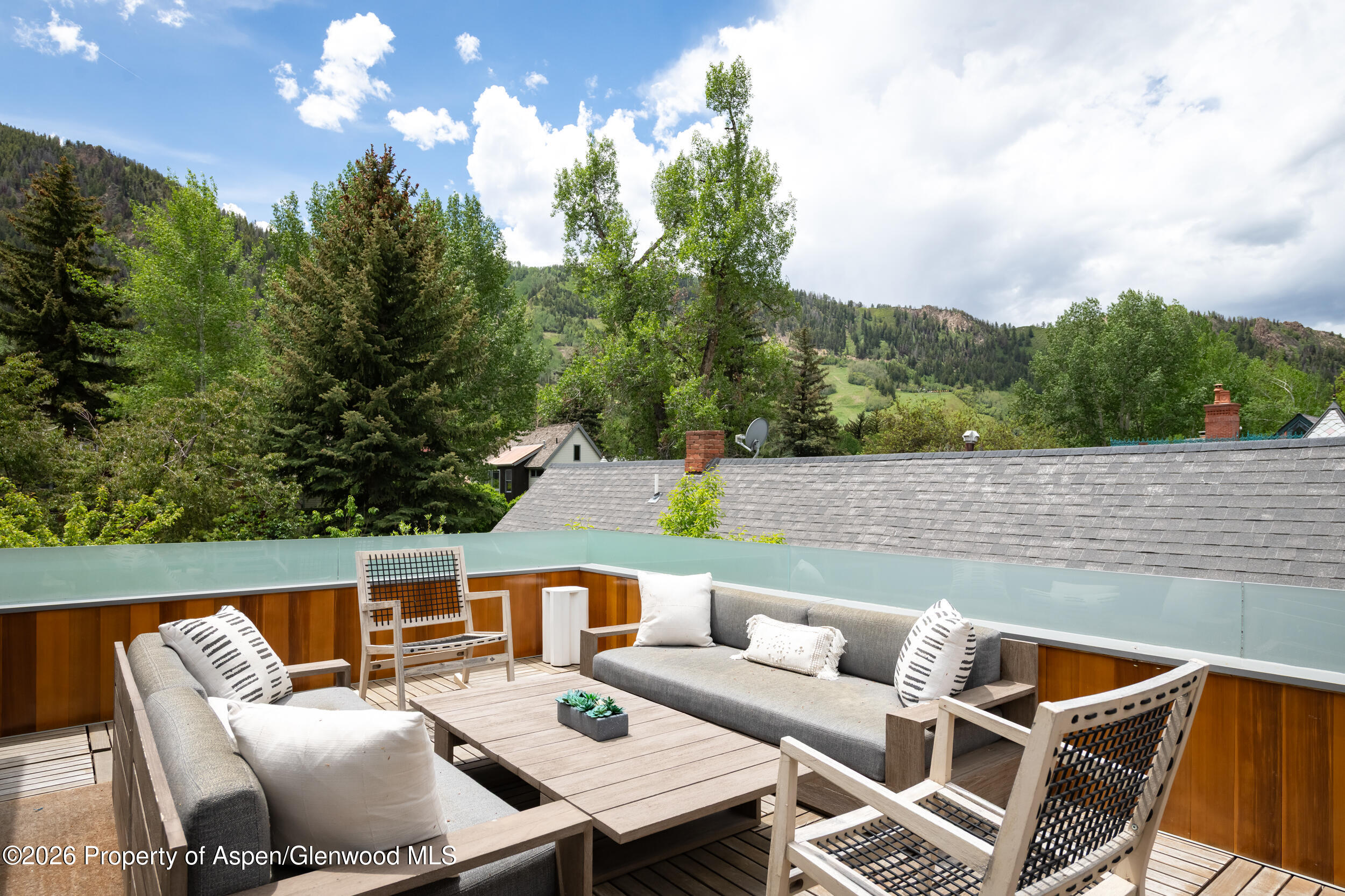 1006 E Cooper Avenue Aspen CO 81611