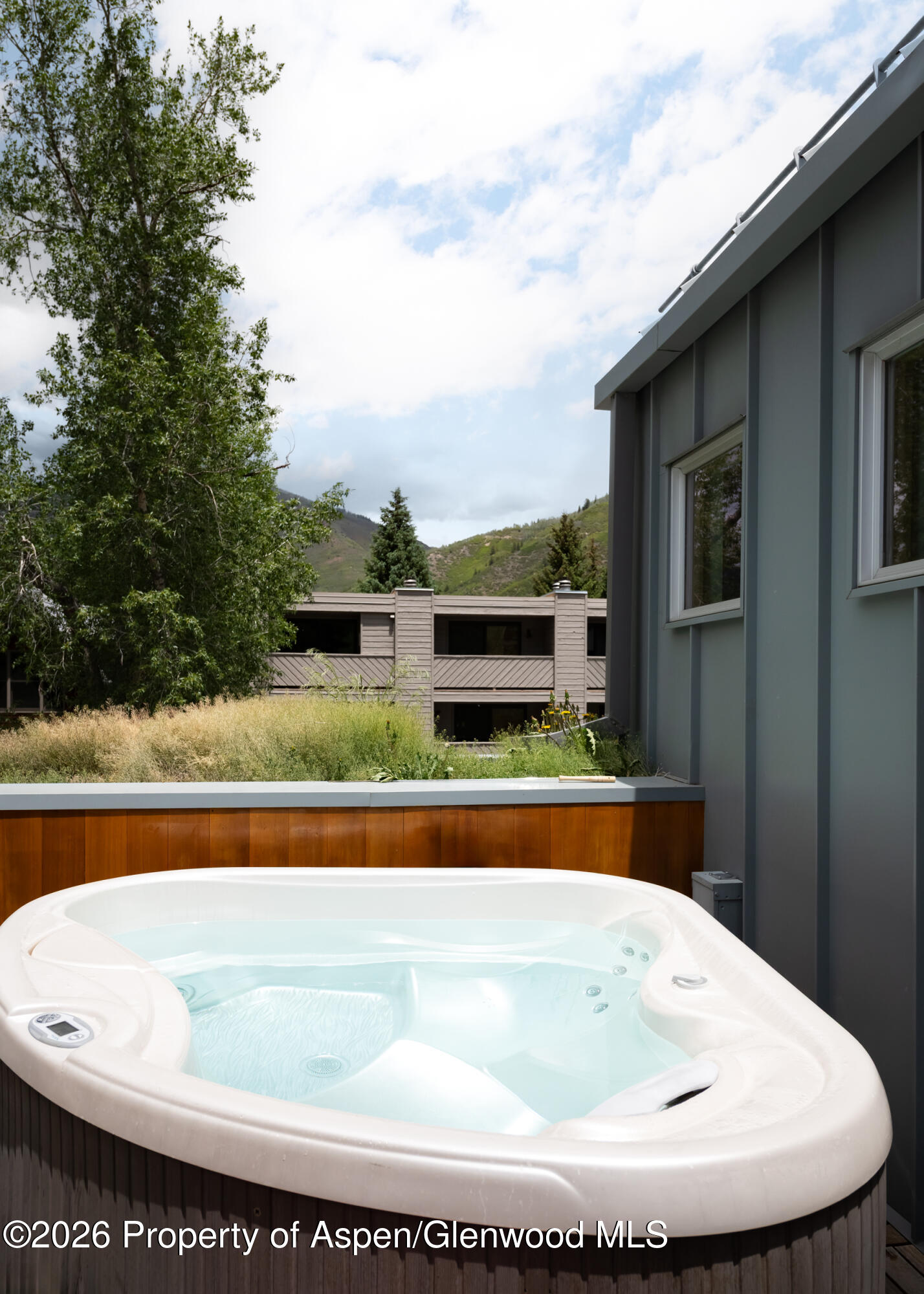 1006 E Cooper Avenue Aspen CO 81611