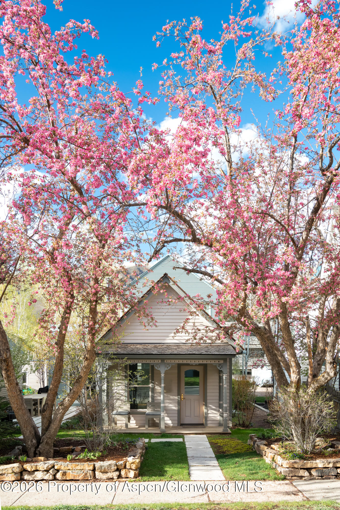 1006 E Cooper Avenue Aspen CO 81611