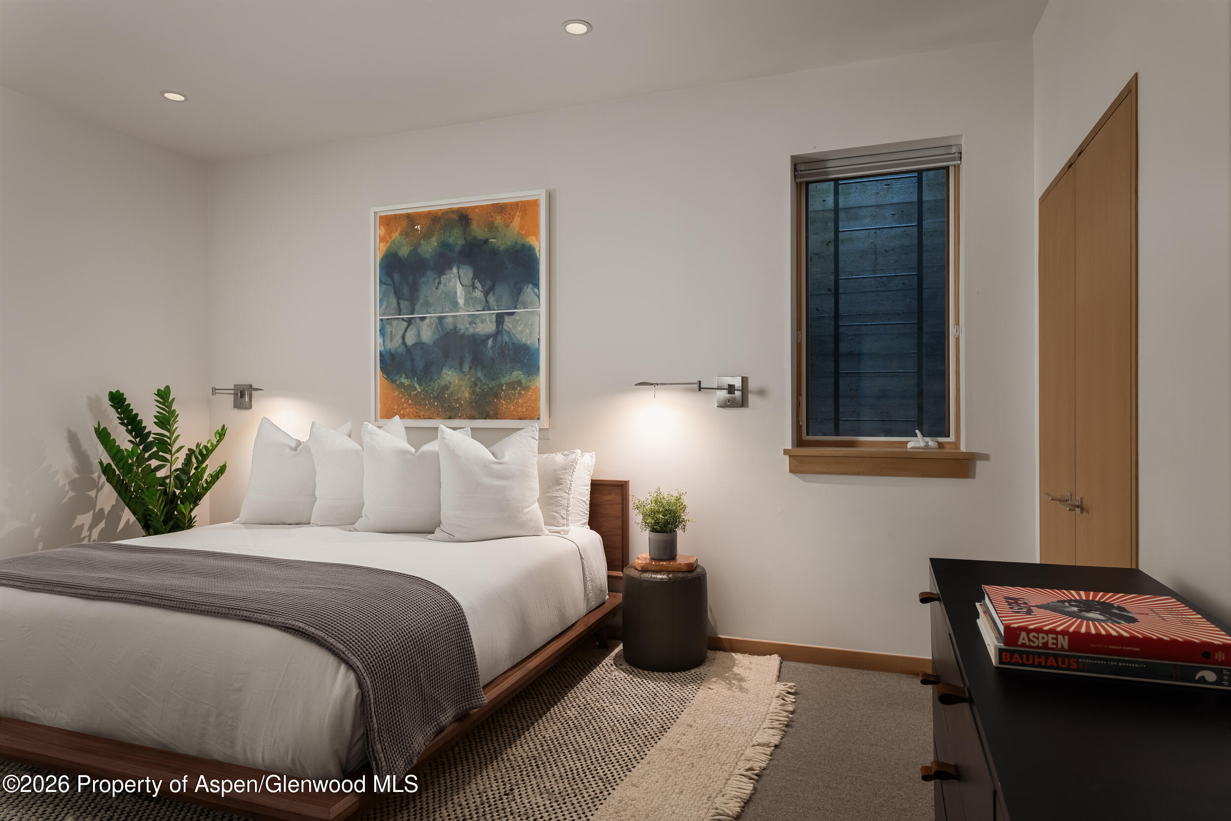 1006 E Cooper Avenue Aspen CO 81611
