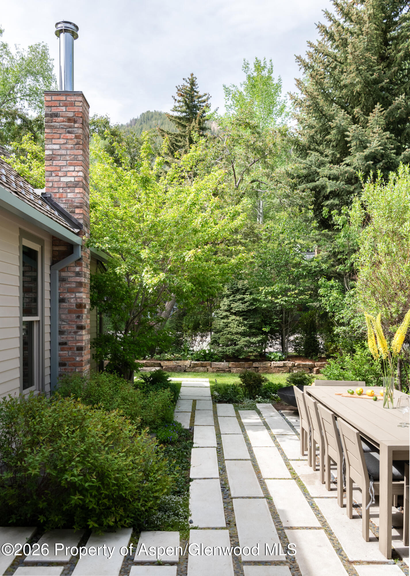 1006 E Cooper Avenue Aspen CO 81611