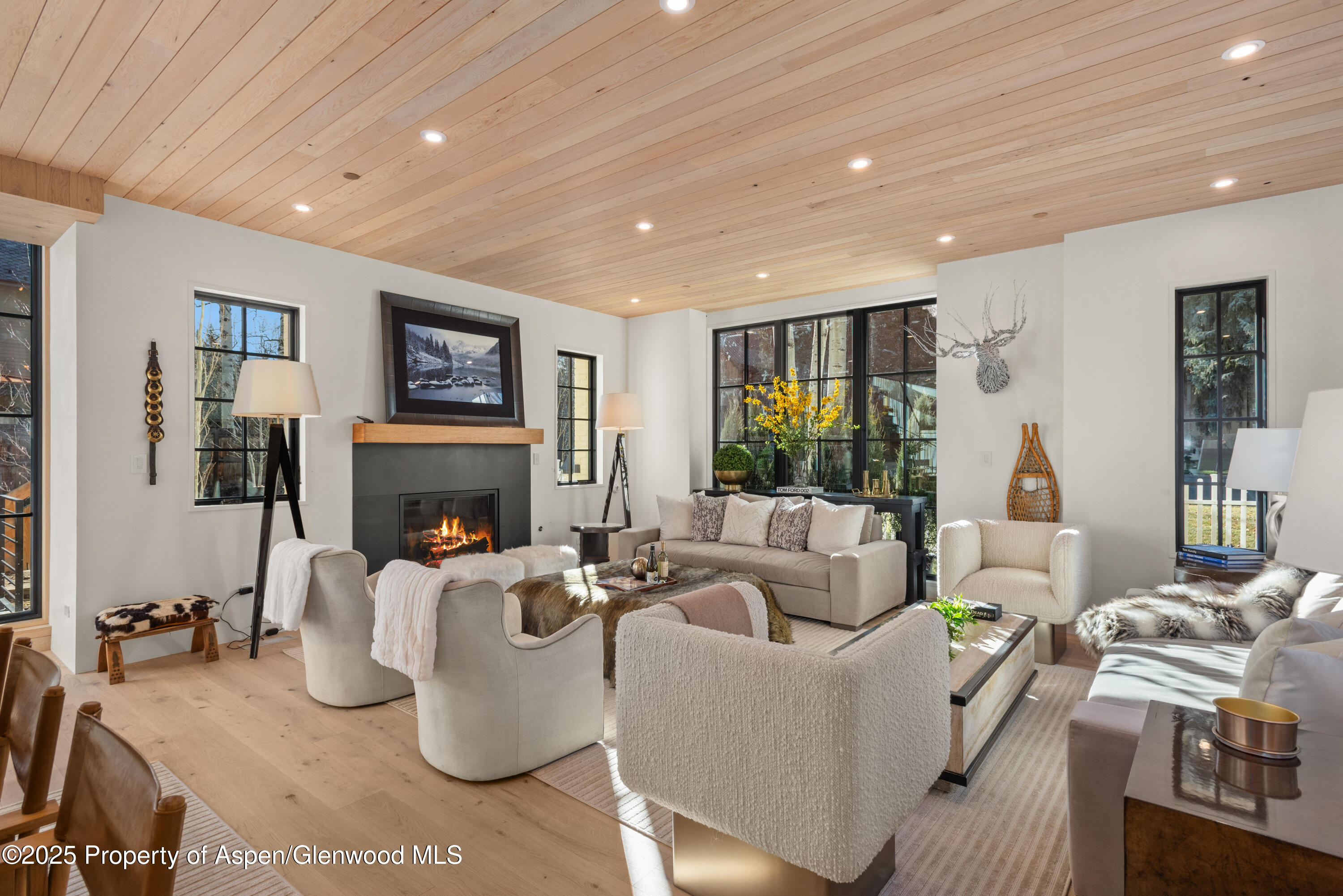 502 N 6th Street Aspen CO 81611