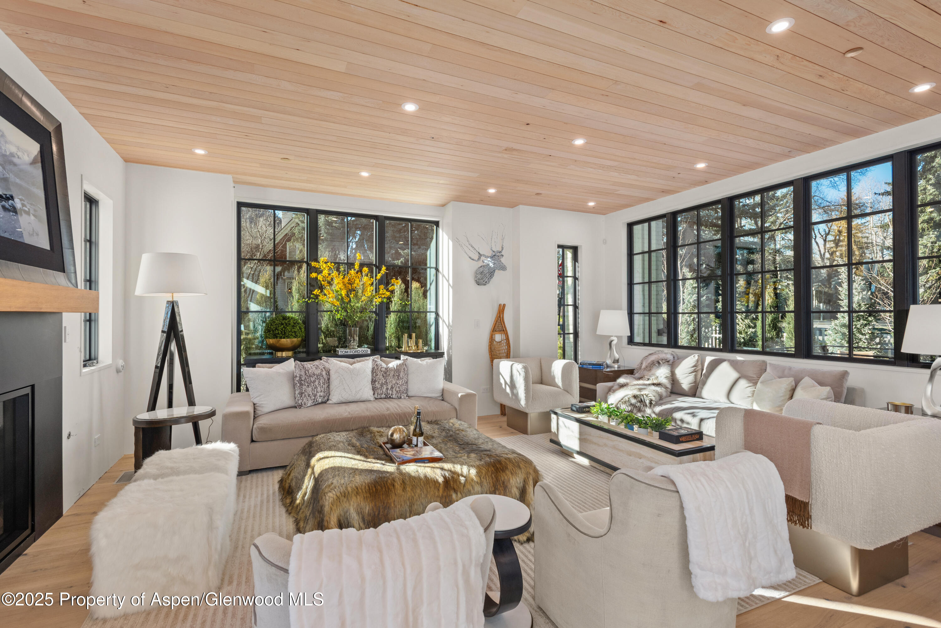 502 N 6th Street Aspen CO 81611