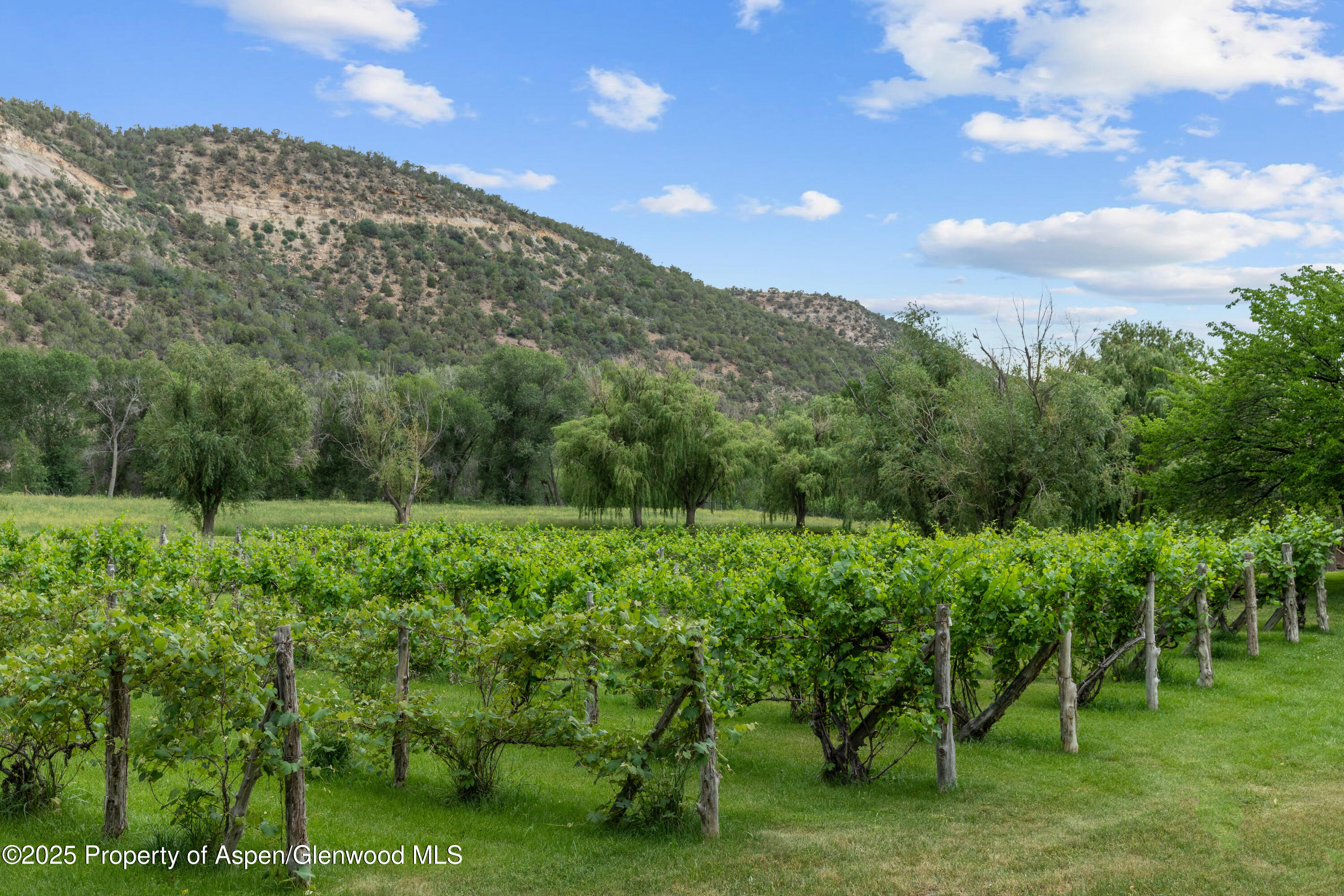 34074 Fruitland Mesa Road Crawford CO 81415