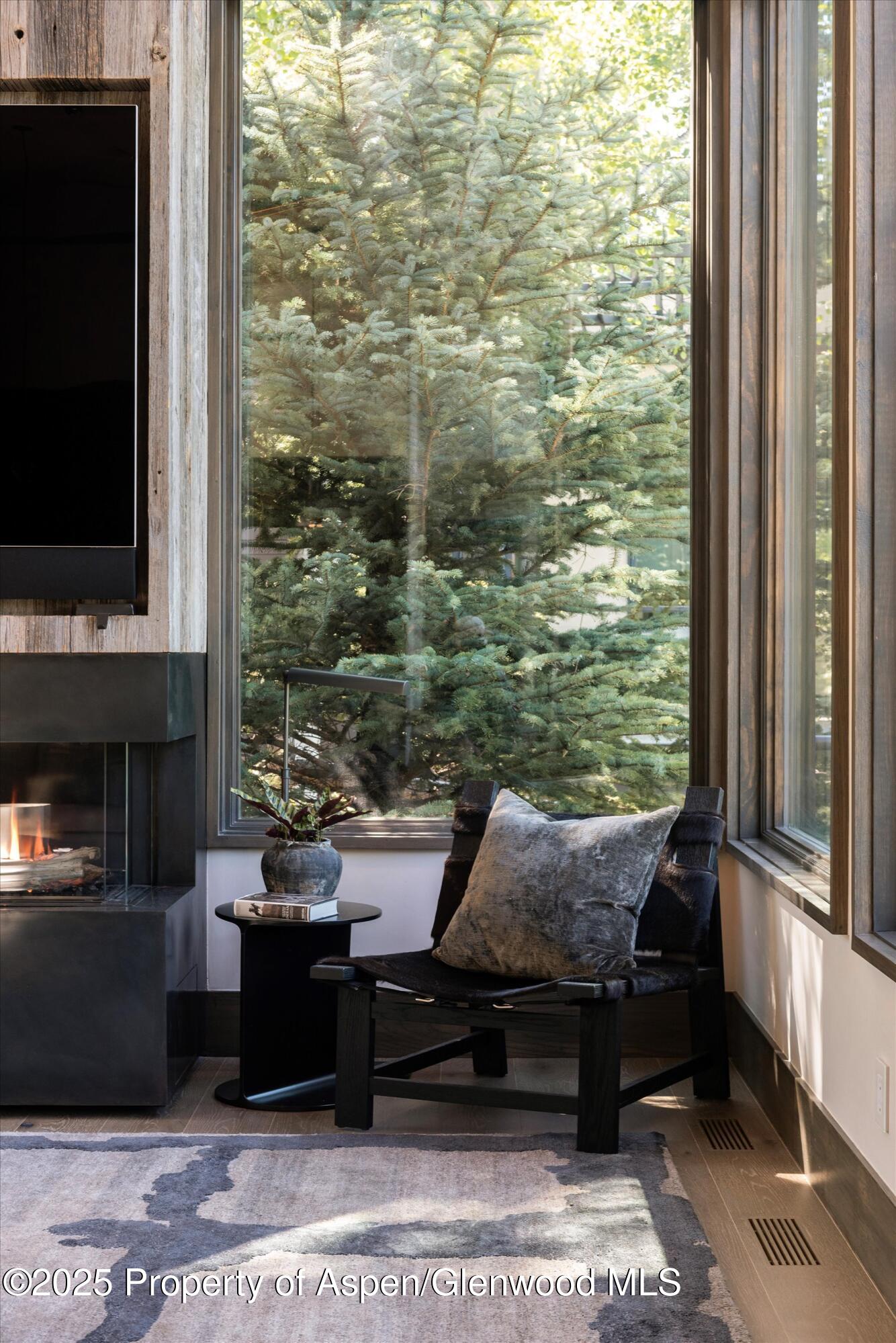 62 Bennett Court Aspen CO 81611