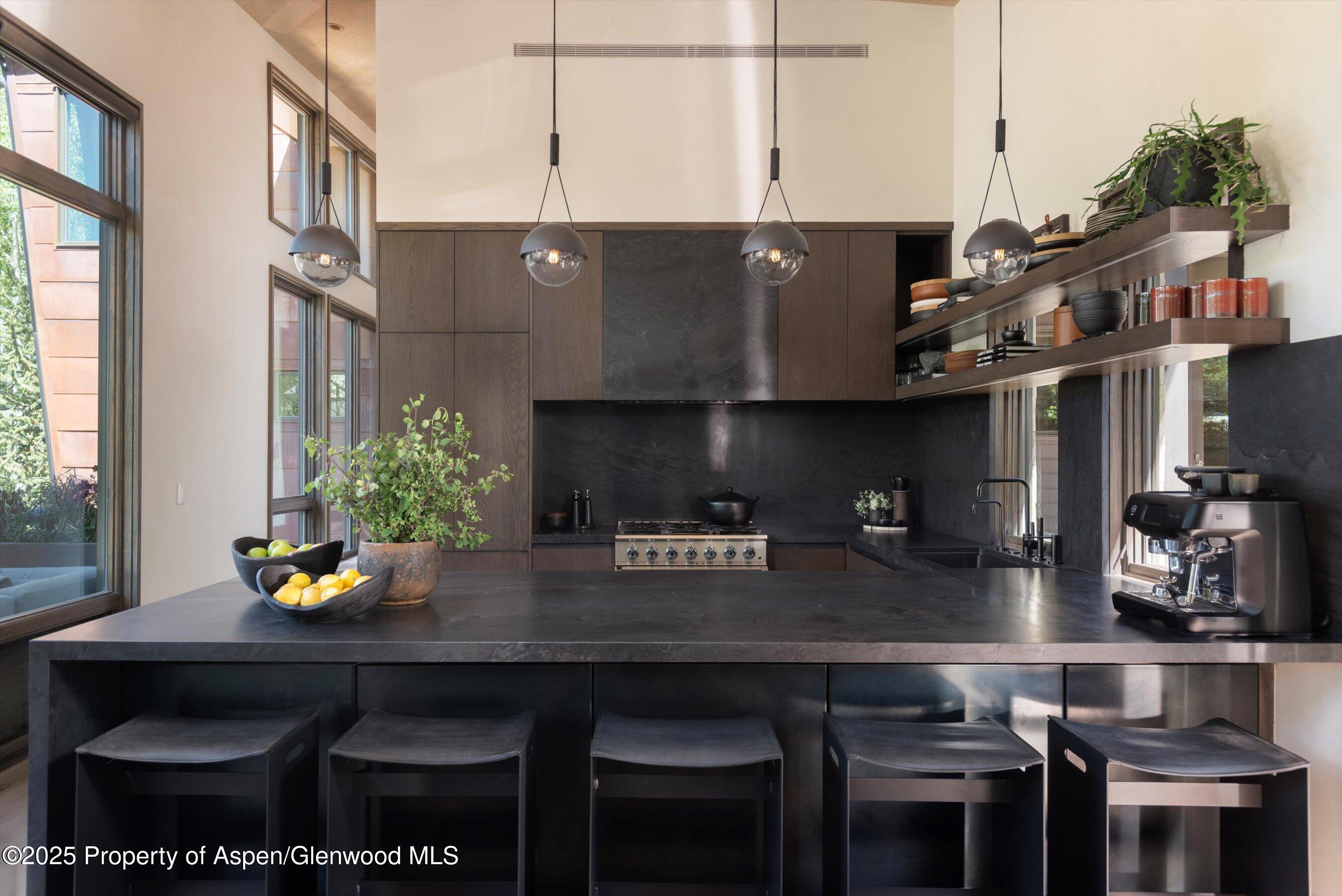 62 Bennett Court Aspen CO 81611