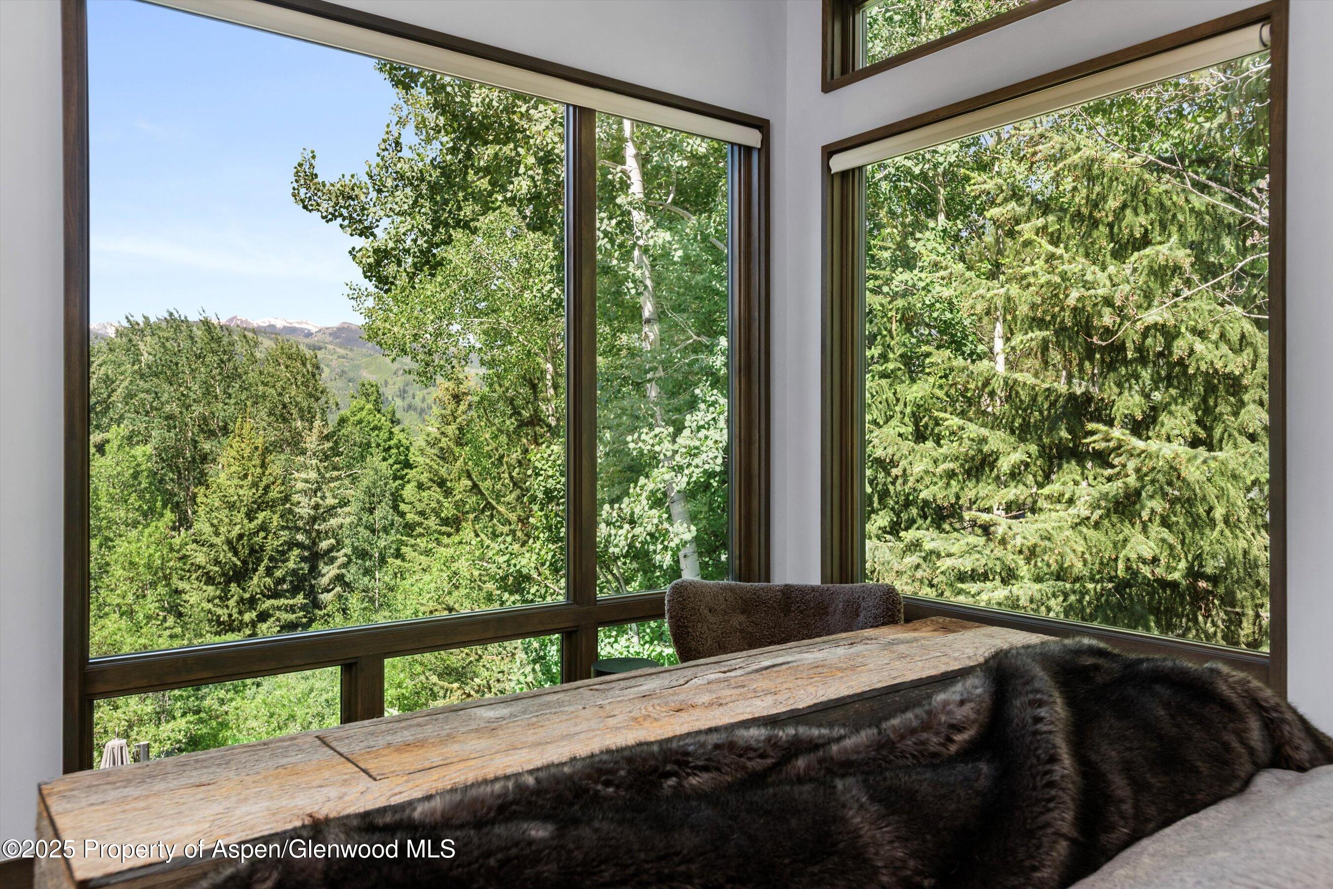 62 Bennett Court Aspen CO 81611