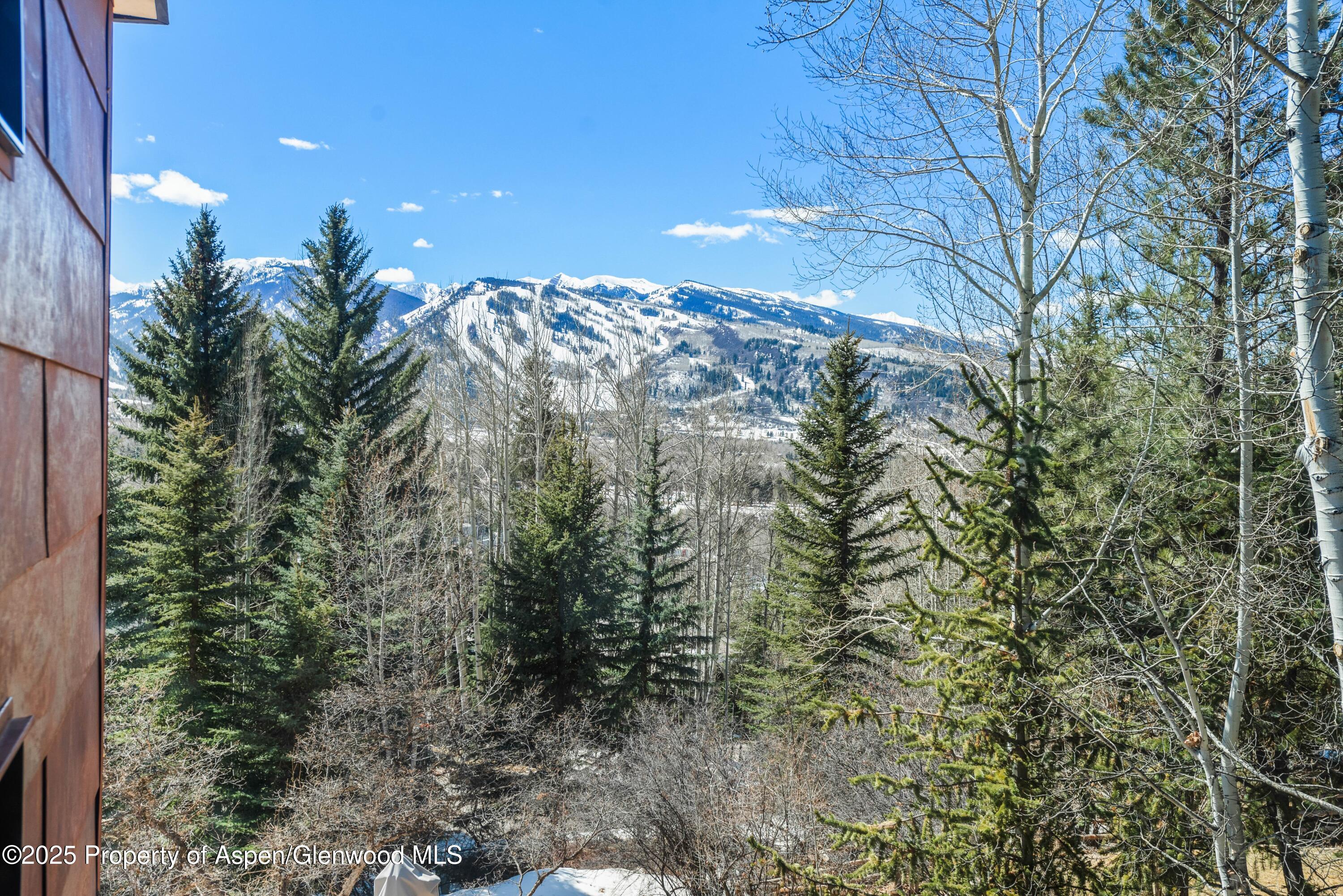 62 Bennett Court Aspen CO 81611