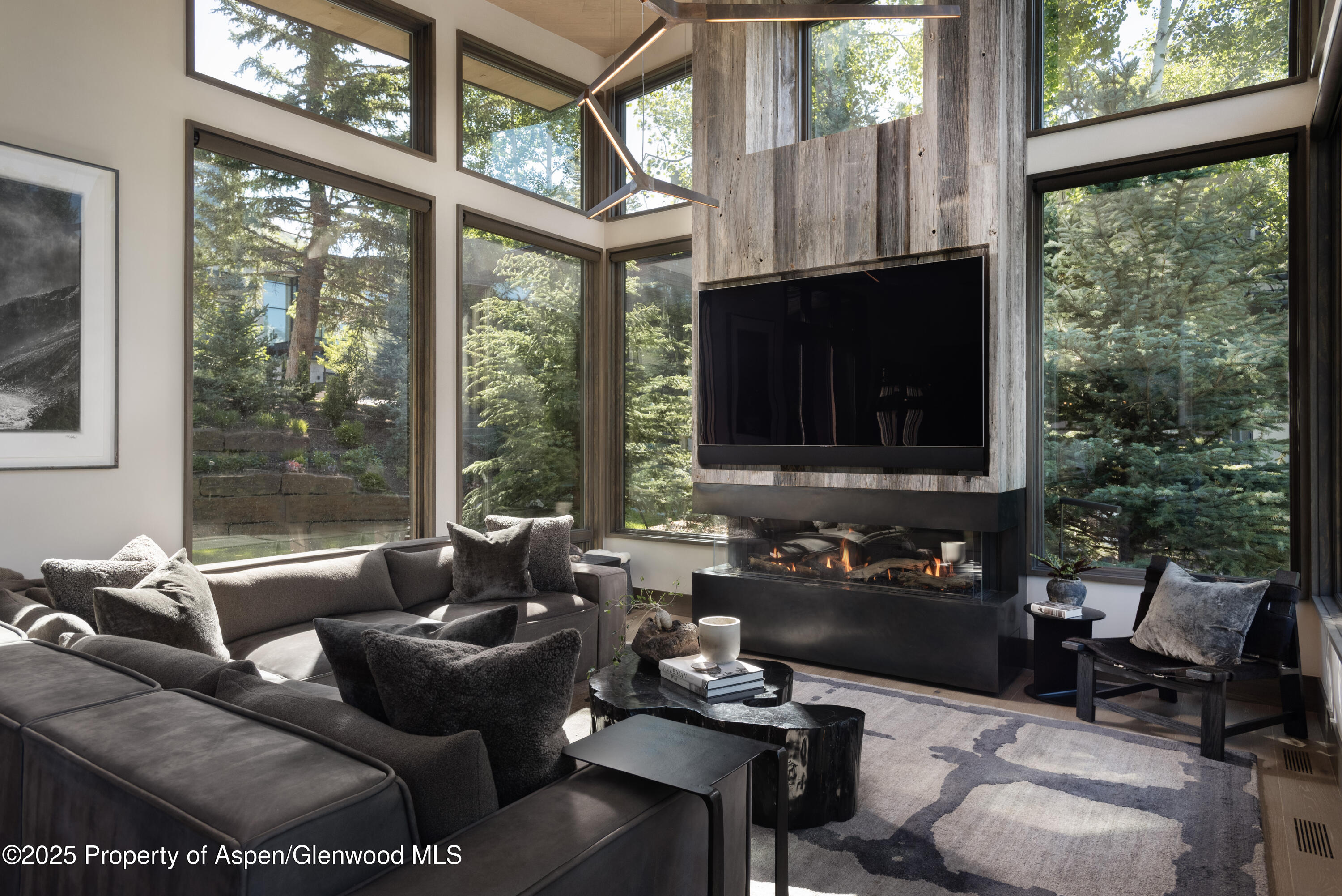 62 Bennett Court Aspen CO 81611