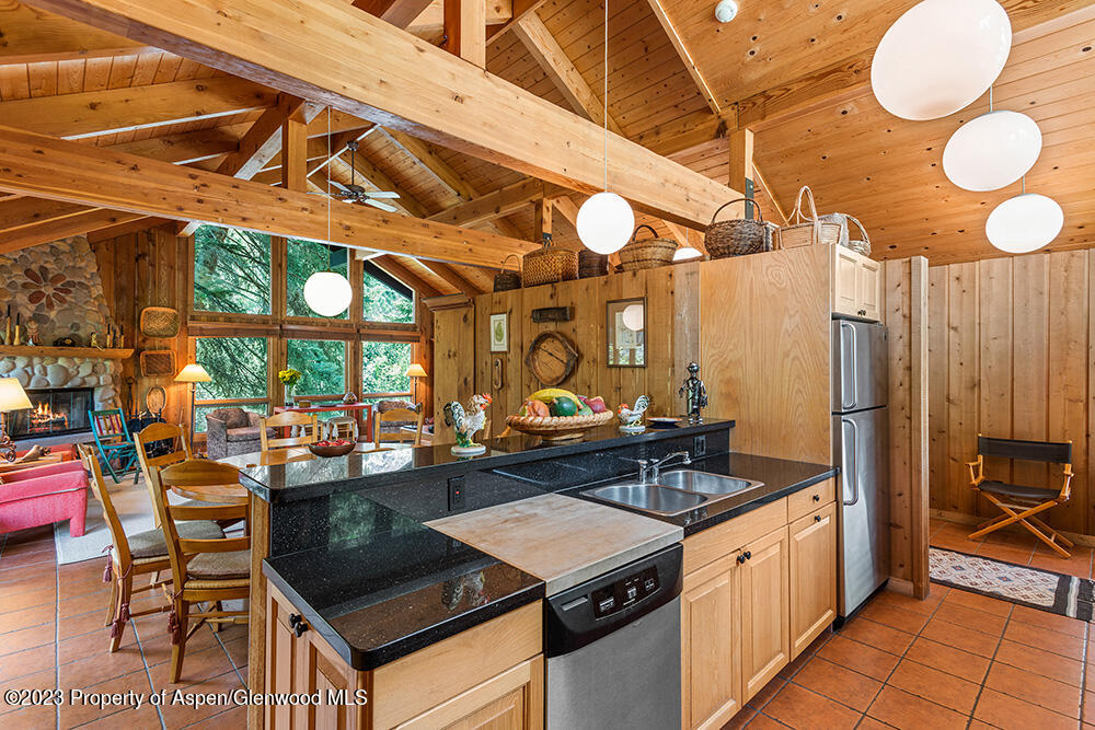 30 Smith Hill Way Woody Creek CO 81656