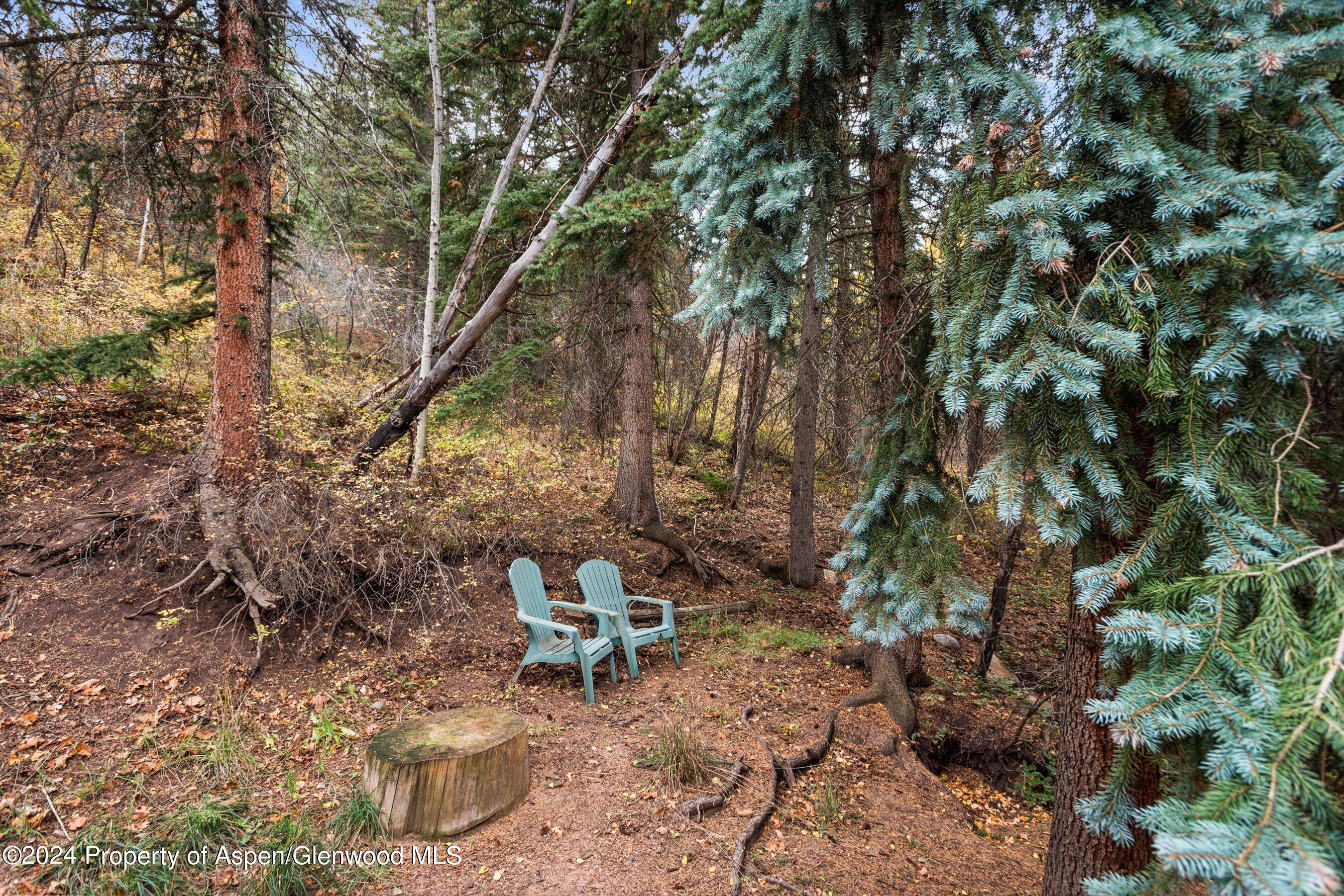 175 Bighorn Lane Redstone CO 81623