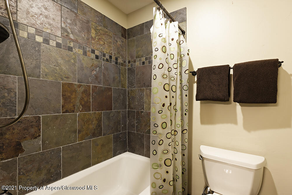 197 Golden Bear Drive Carbondale CO 81623