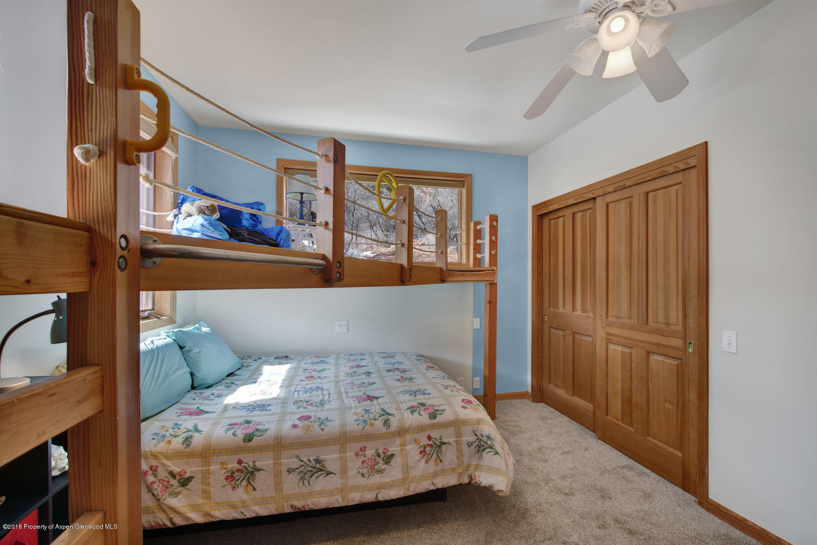225 Cherokee Lane Carbondale CO 81623