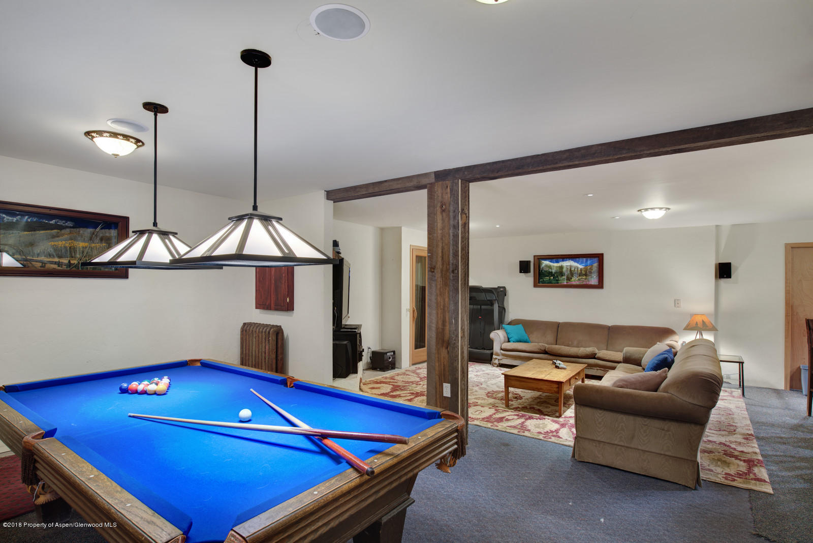 225 Cherokee Lane Carbondale CO 81623