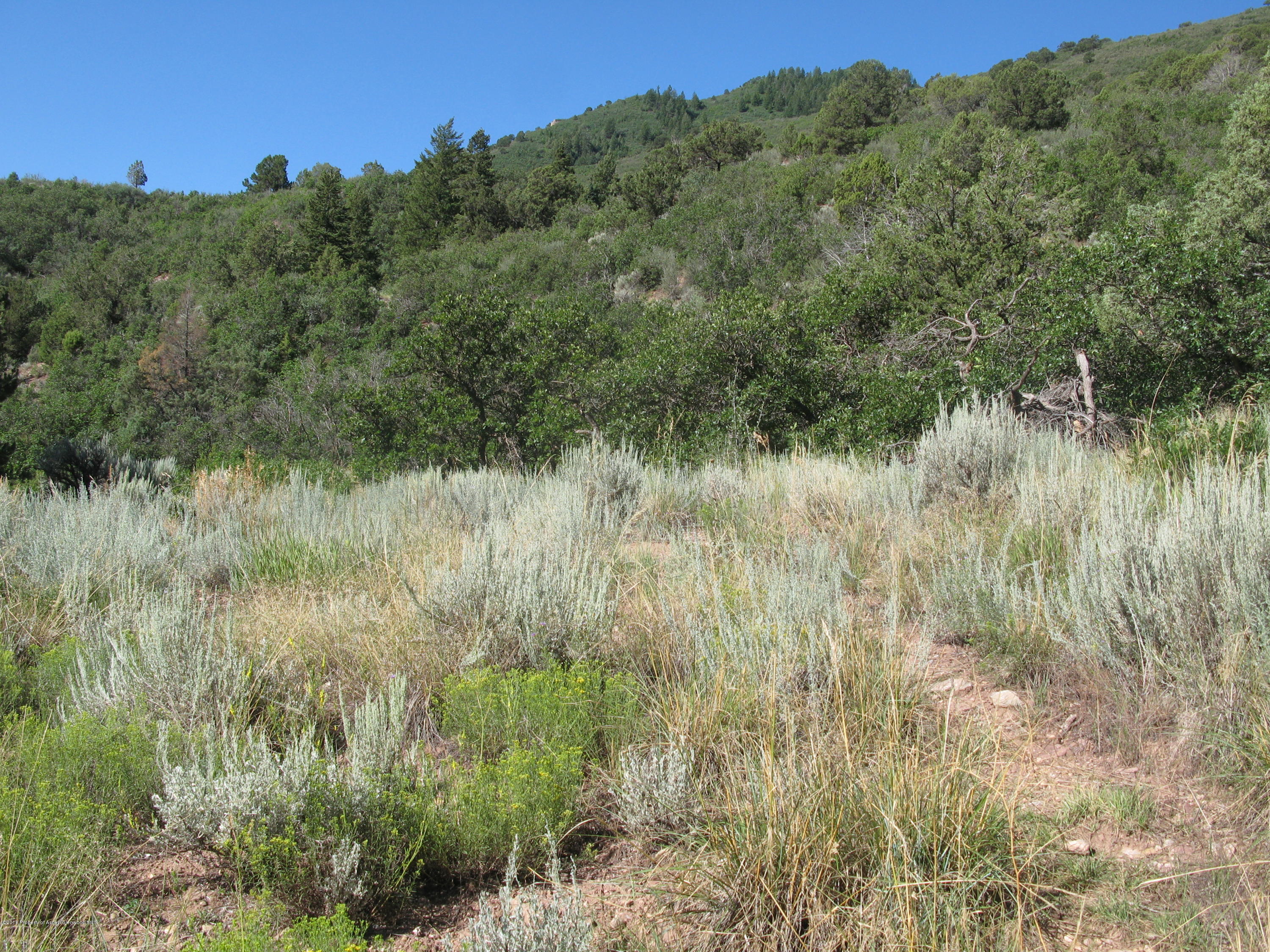 10101 Highway 133 Carbondale CO 81623