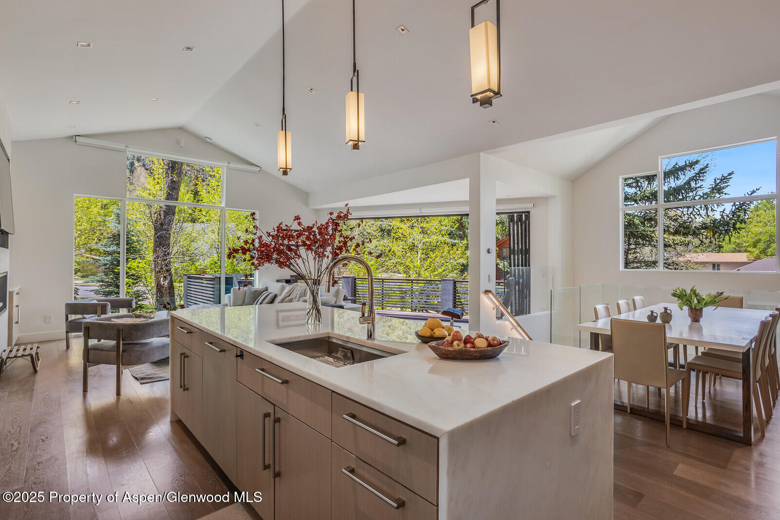 100 Park Avenue Aspen CO 81611