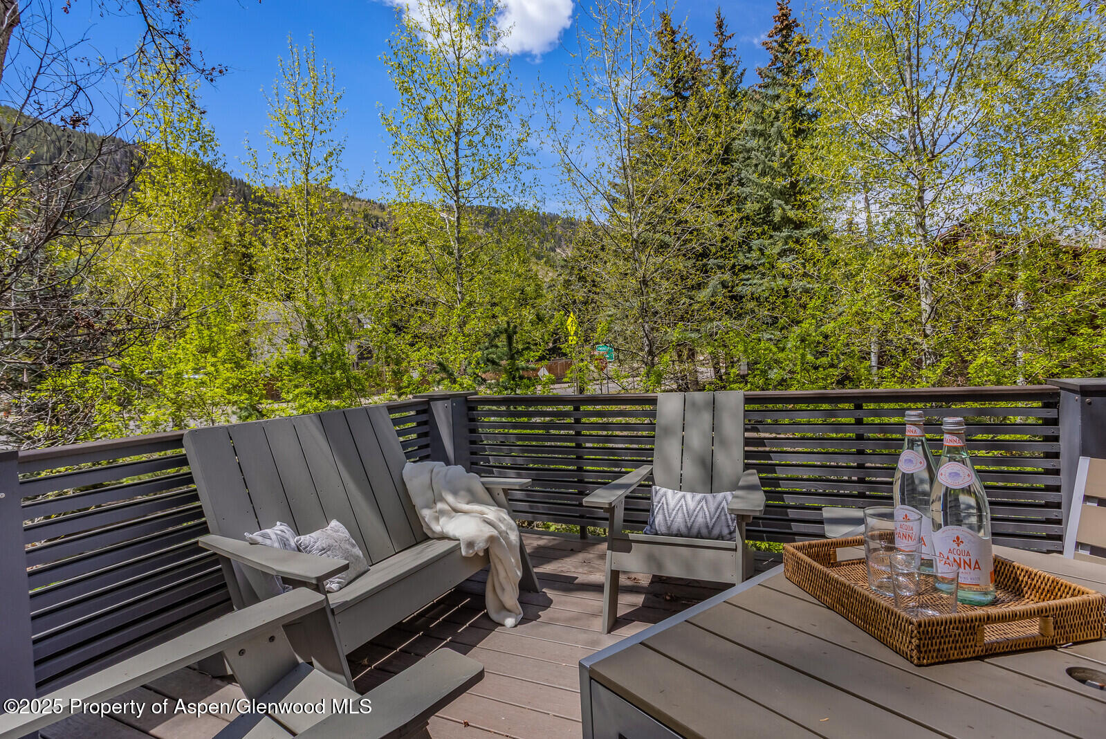 100 Park Avenue Aspen CO 81611