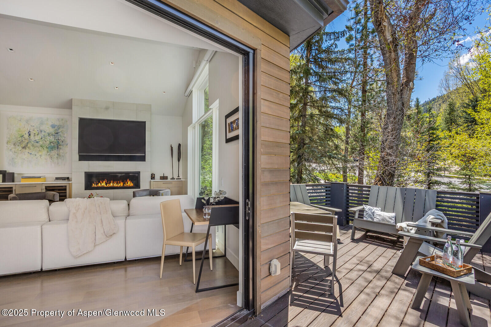 100 Park Avenue Aspen CO 81611