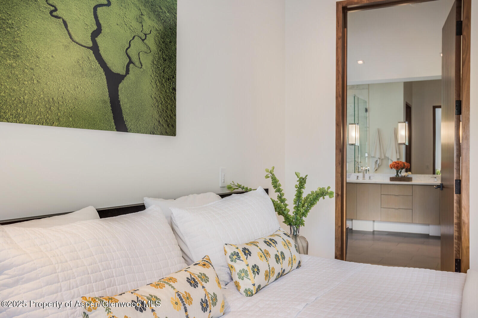 100 Park Avenue Aspen CO 81611