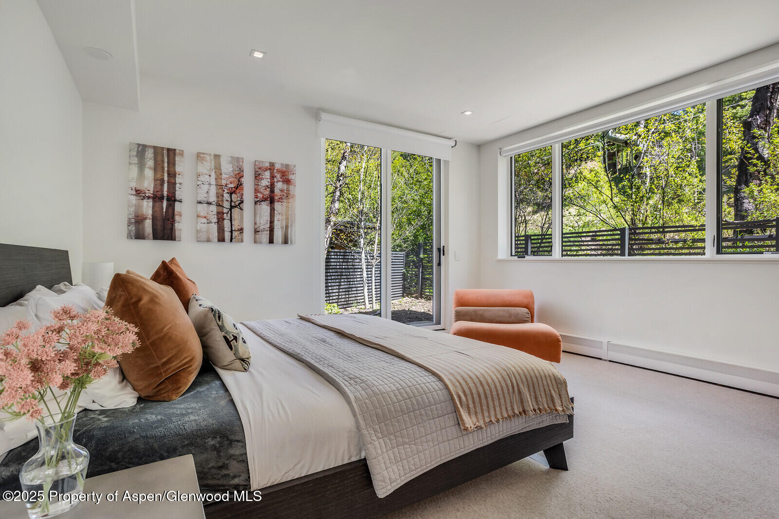 100 Park Avenue Aspen CO 81611