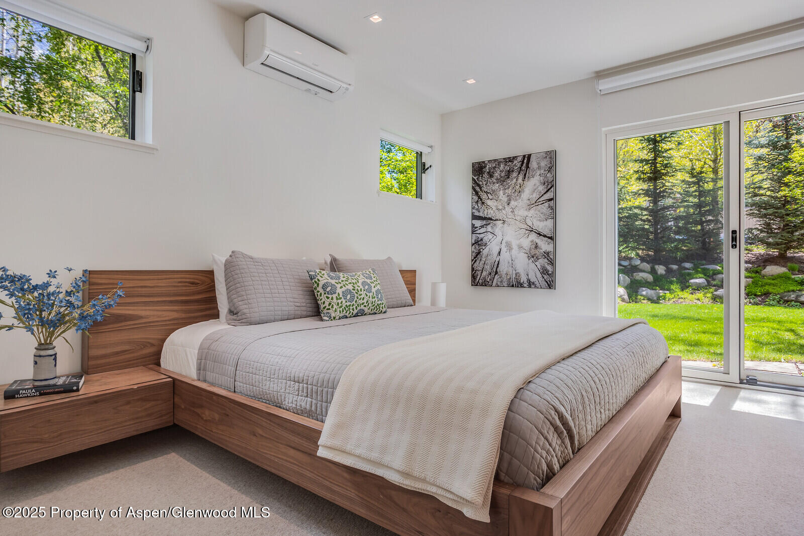 100 Park Avenue Aspen CO 81611