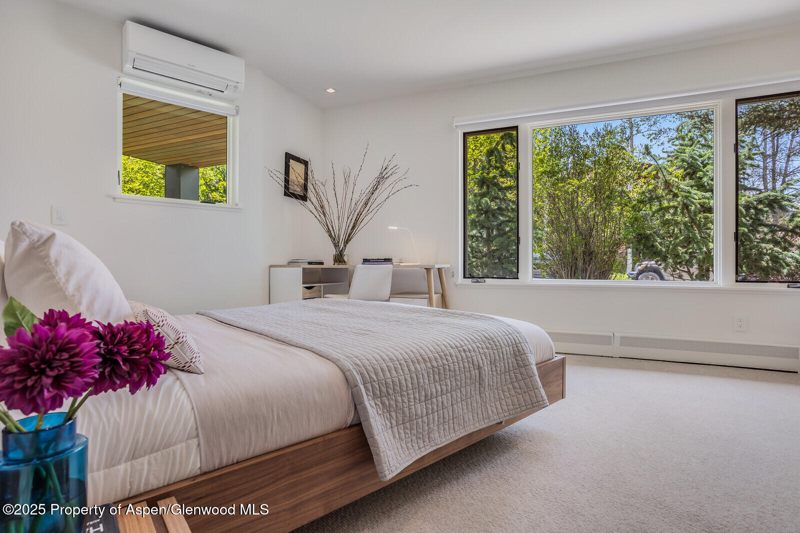 100 Park Avenue Aspen CO 81611