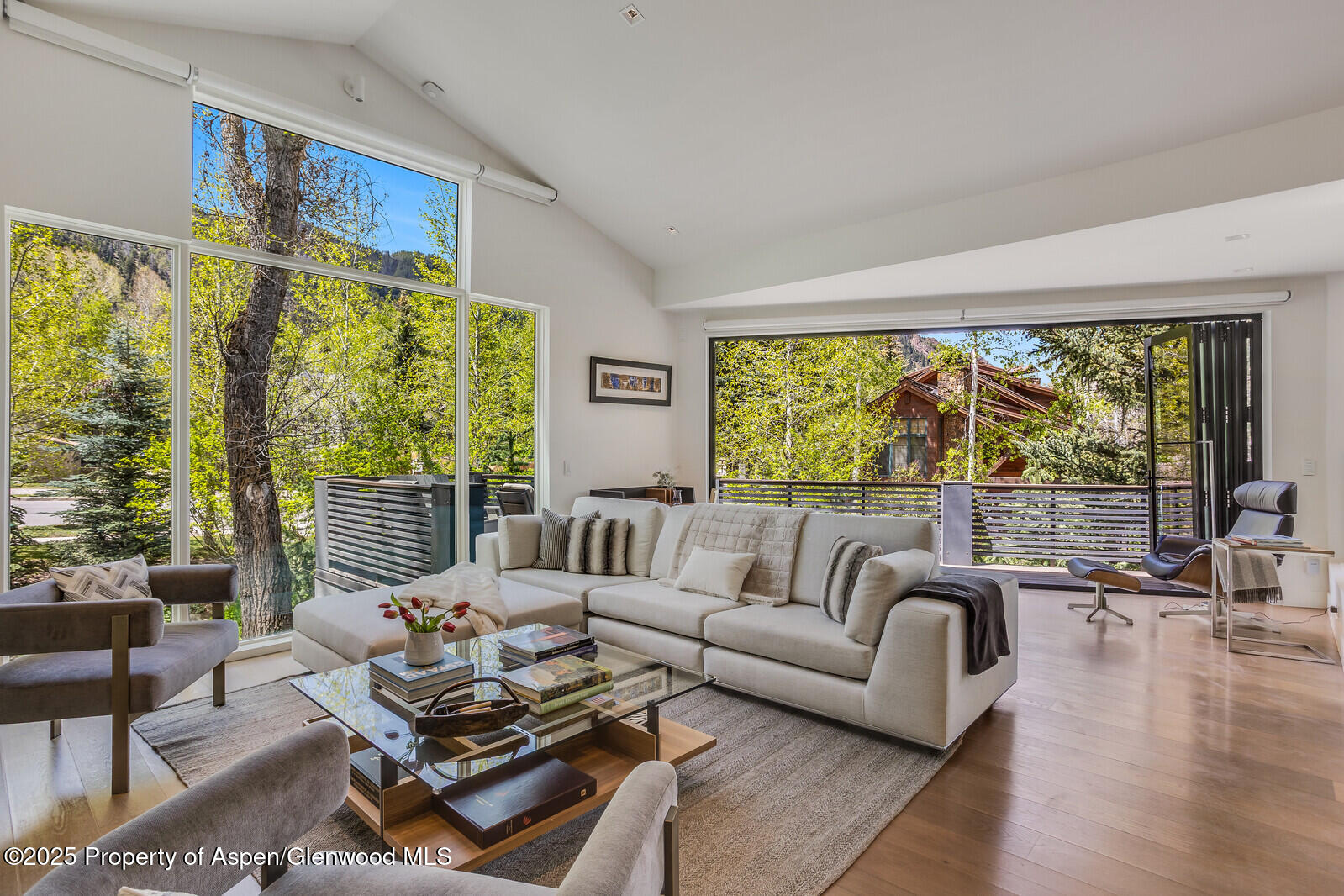 100 Park Avenue Aspen CO 81611