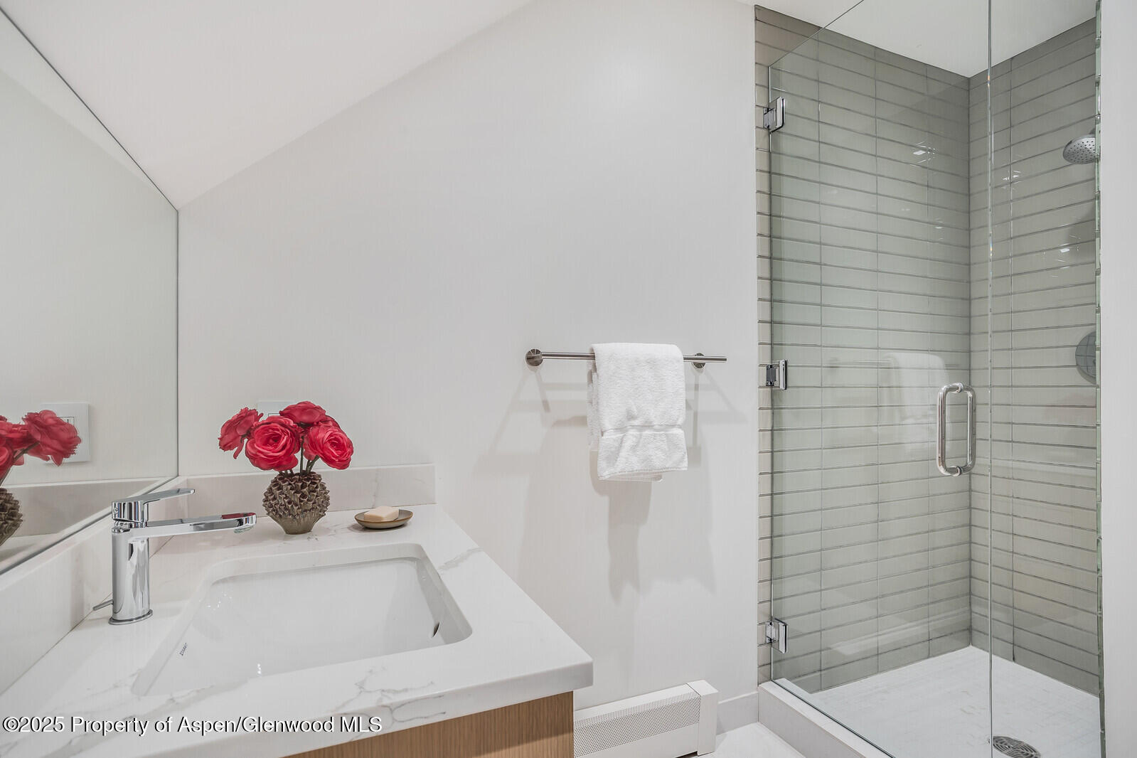 100 Park Avenue Aspen CO 81611