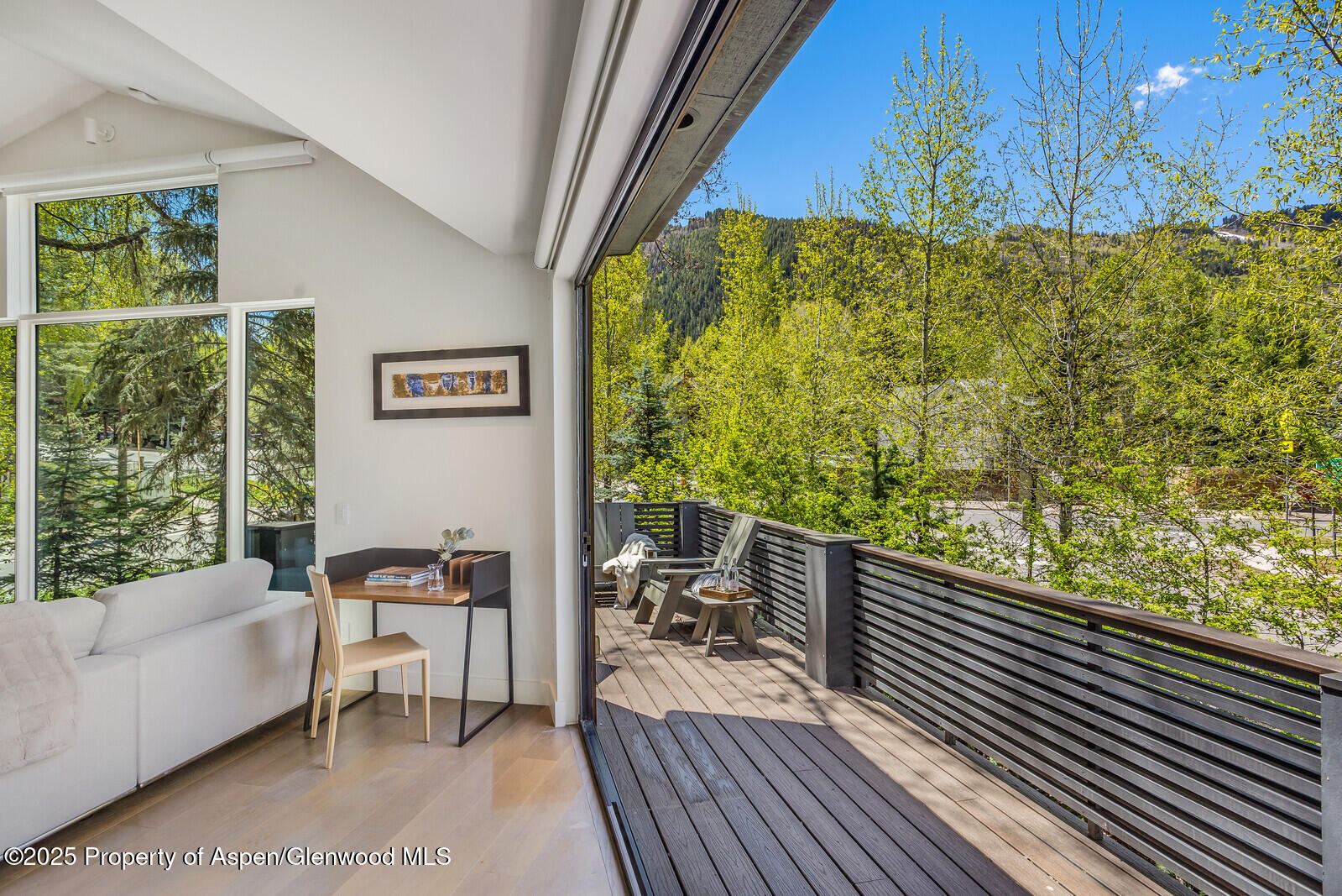 100 Park Avenue Aspen CO 81611