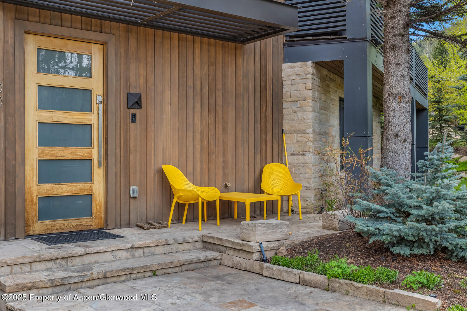 100 Park Avenue Aspen CO 81611