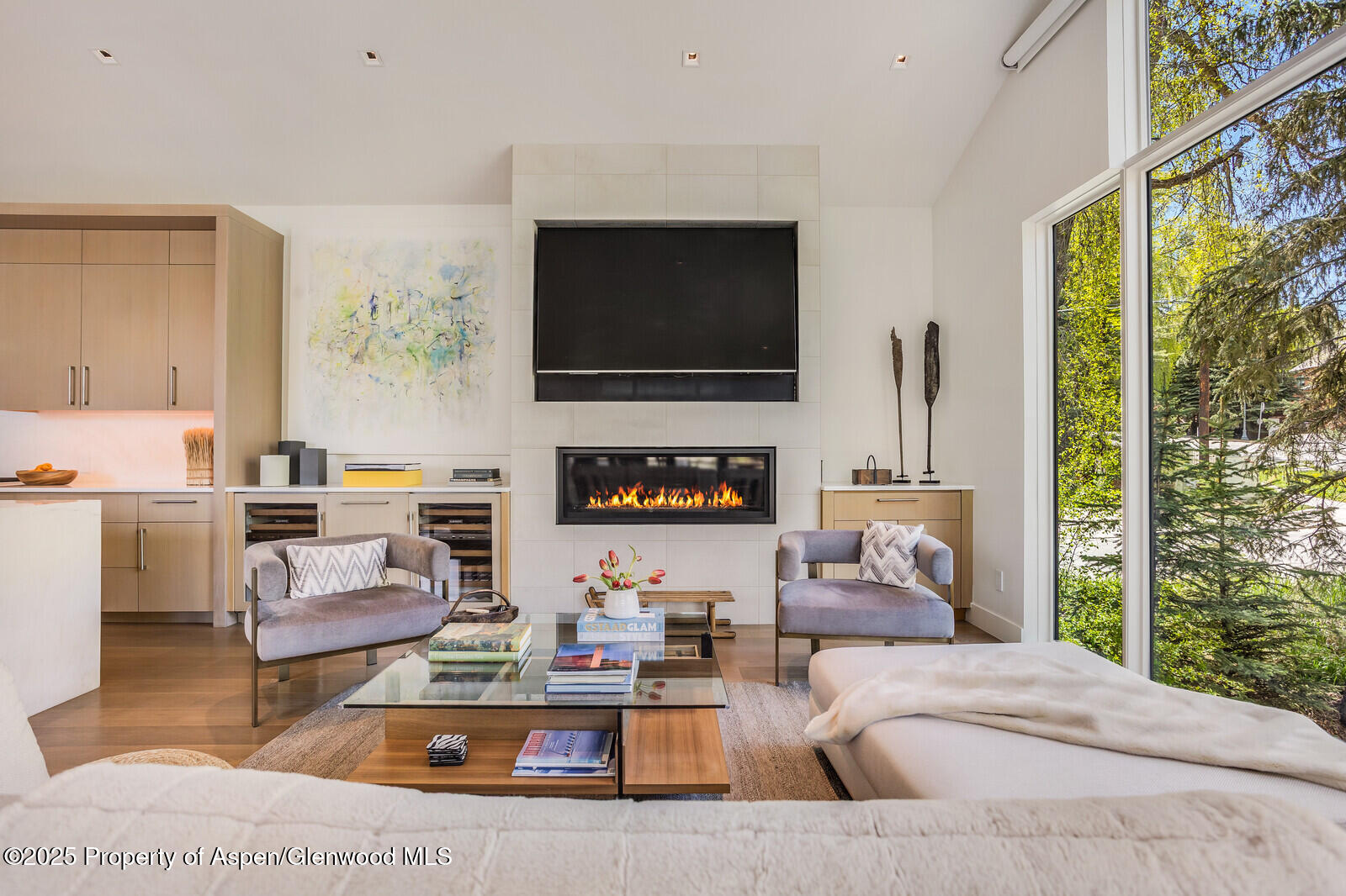 100 Park Avenue Aspen CO 81611