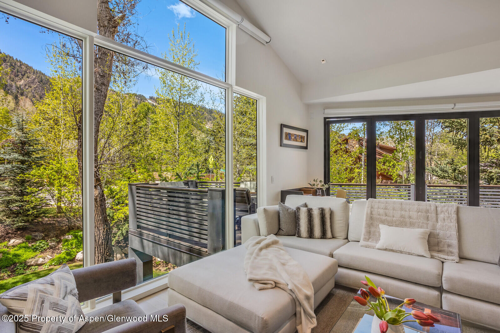 100 Park Avenue Aspen CO 81611