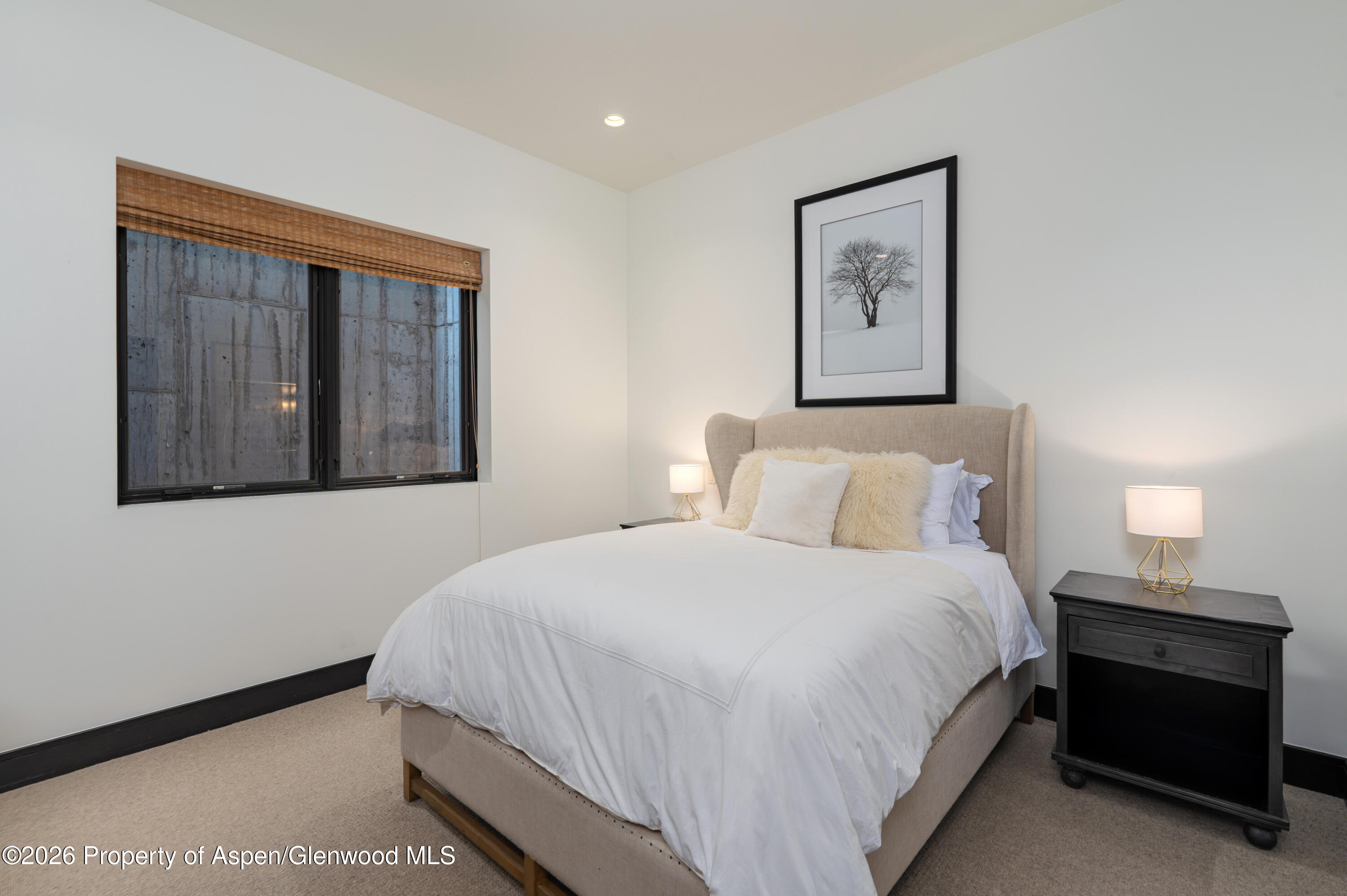 190 W Lupine Drive Aspen CO 81611