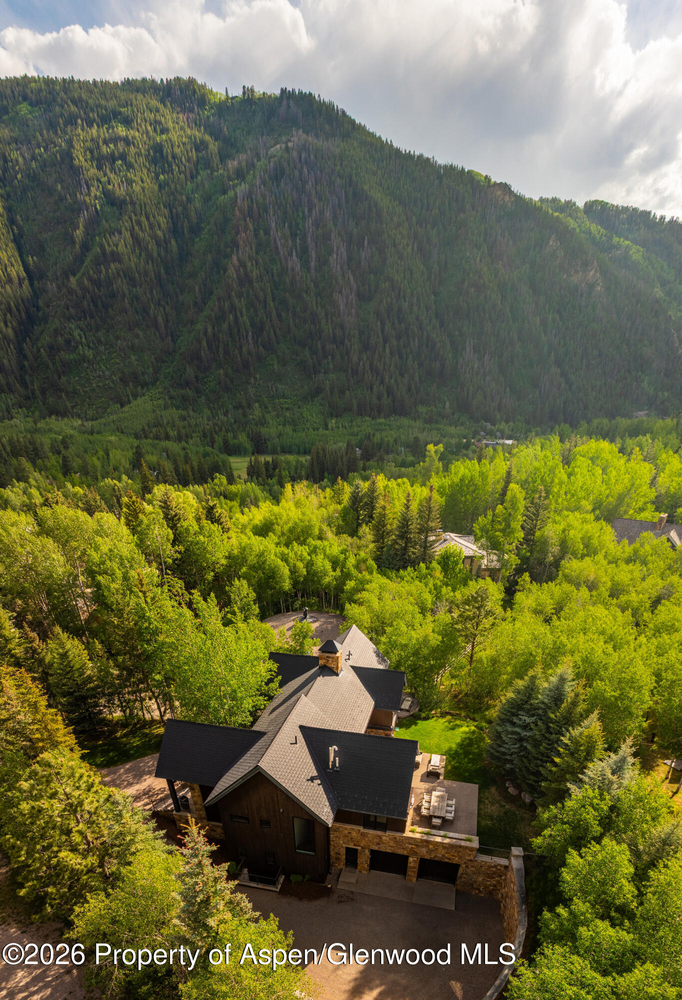 190 W Lupine Drive Aspen CO 81611